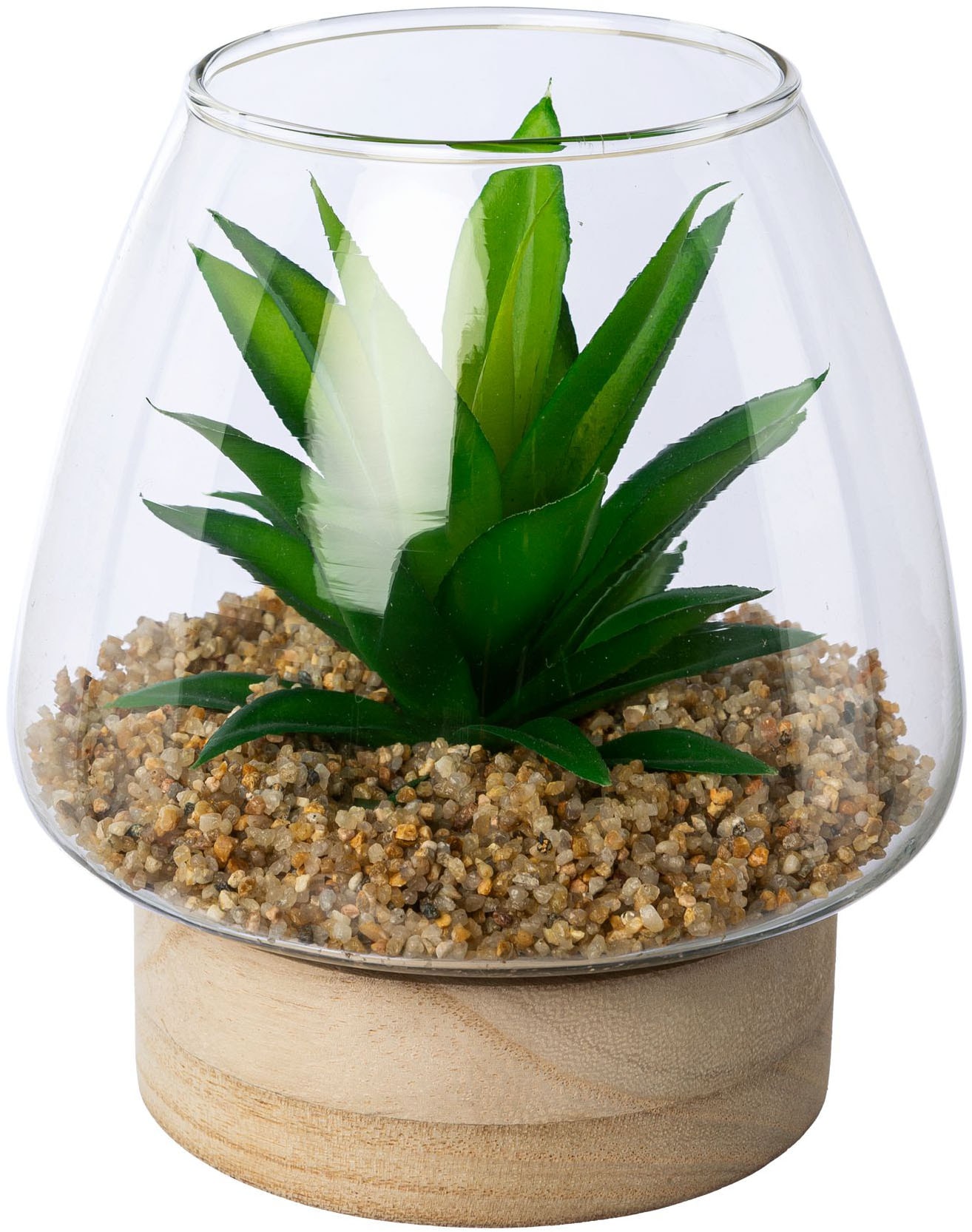 Creativ green Kunstpflanze »Sukkulenten im Glasgefäss« mit 2 verschiedenen Sukkulenten