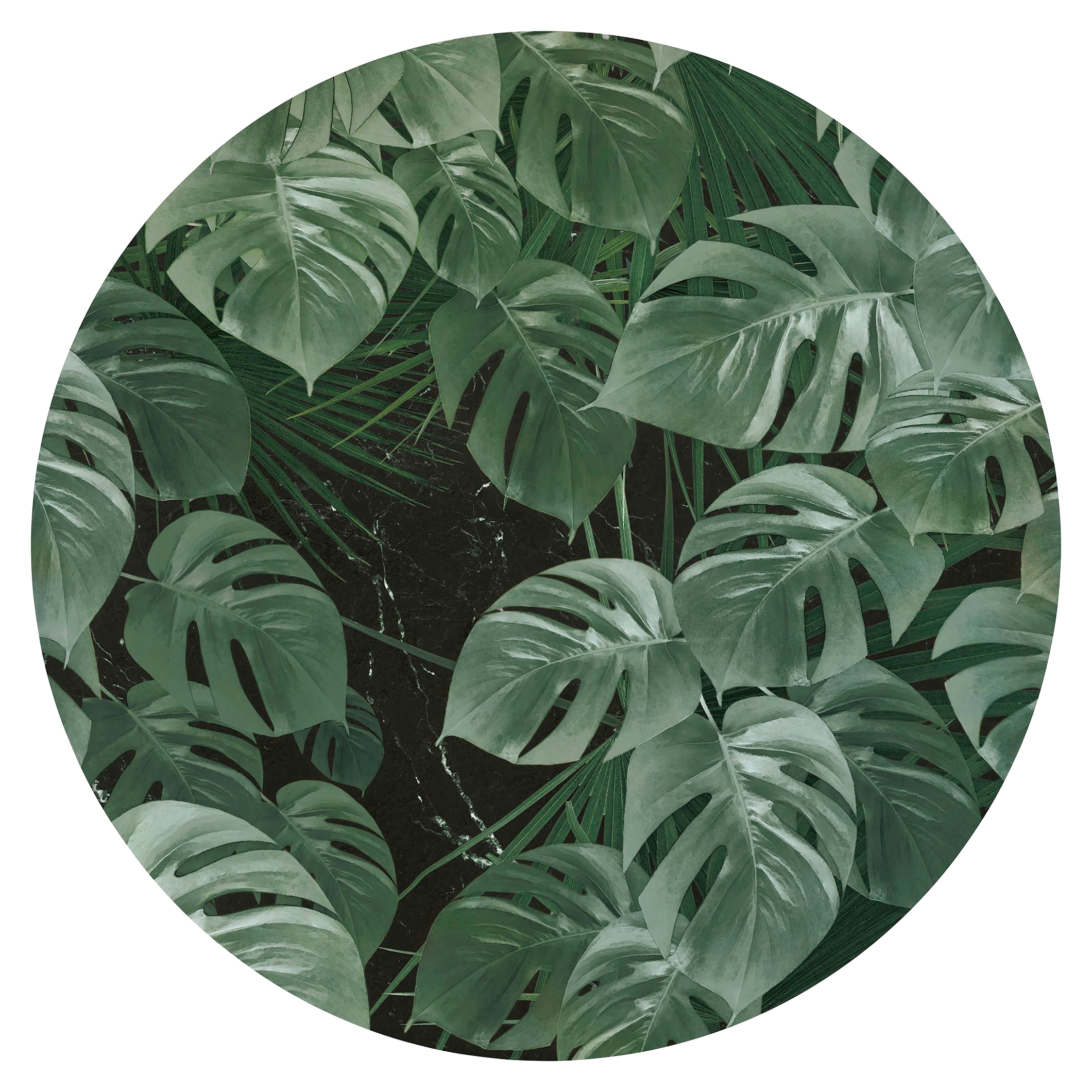Image of Komar Vliestapete "Vlies selbstklebend - Novel Monstera - Grösse 125 x 125 cm" bedruckt glatt Wohnzimmer, Schlafzimmer