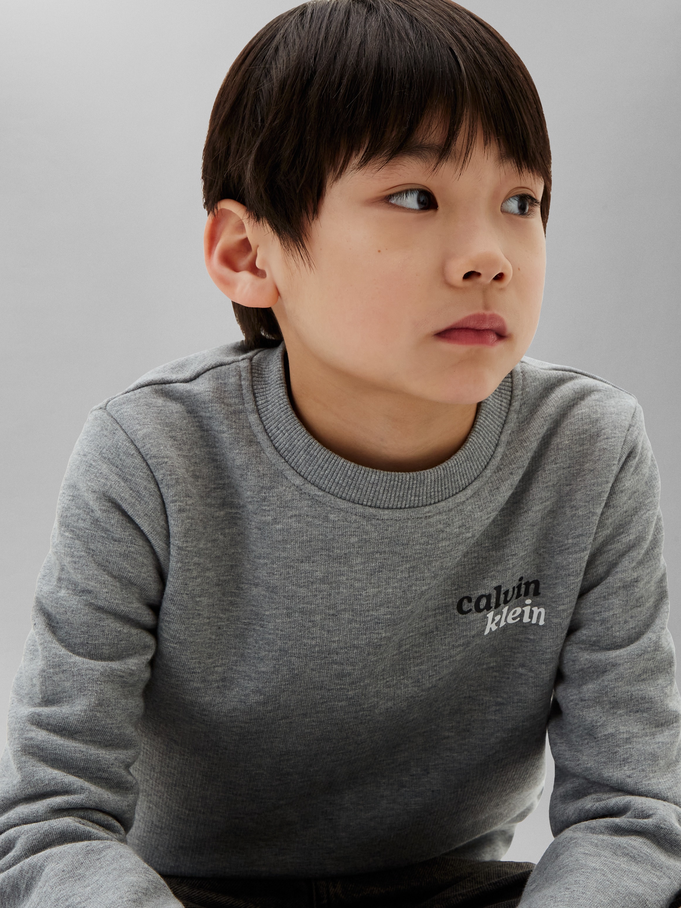 Calvin Klein Jeans Sweatshirt , Logoschriftzug auf dem Rücken, Regular Fit, Baumwollmix
