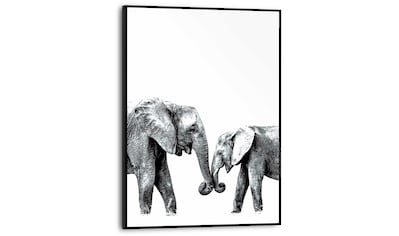 Reinders! Poster »Elefantenliebe« Trouver sur