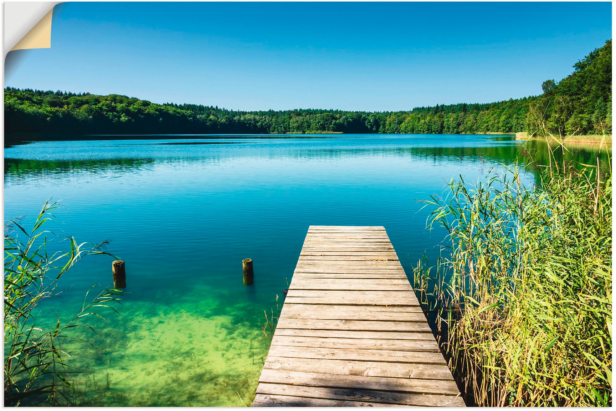 Image of Artland Wandbild »Trünnensee Mecklenburger Seenplatte«, Gewässer, (1 St.), in vielen Grössen & Produktarten - Alubild / Outdoorbild für den Aussenbereich, Leinwandbild, Poster, Wandaufkleber / Wandtattoo auch für Badezimmer geeignet bei Ackermann Versand 