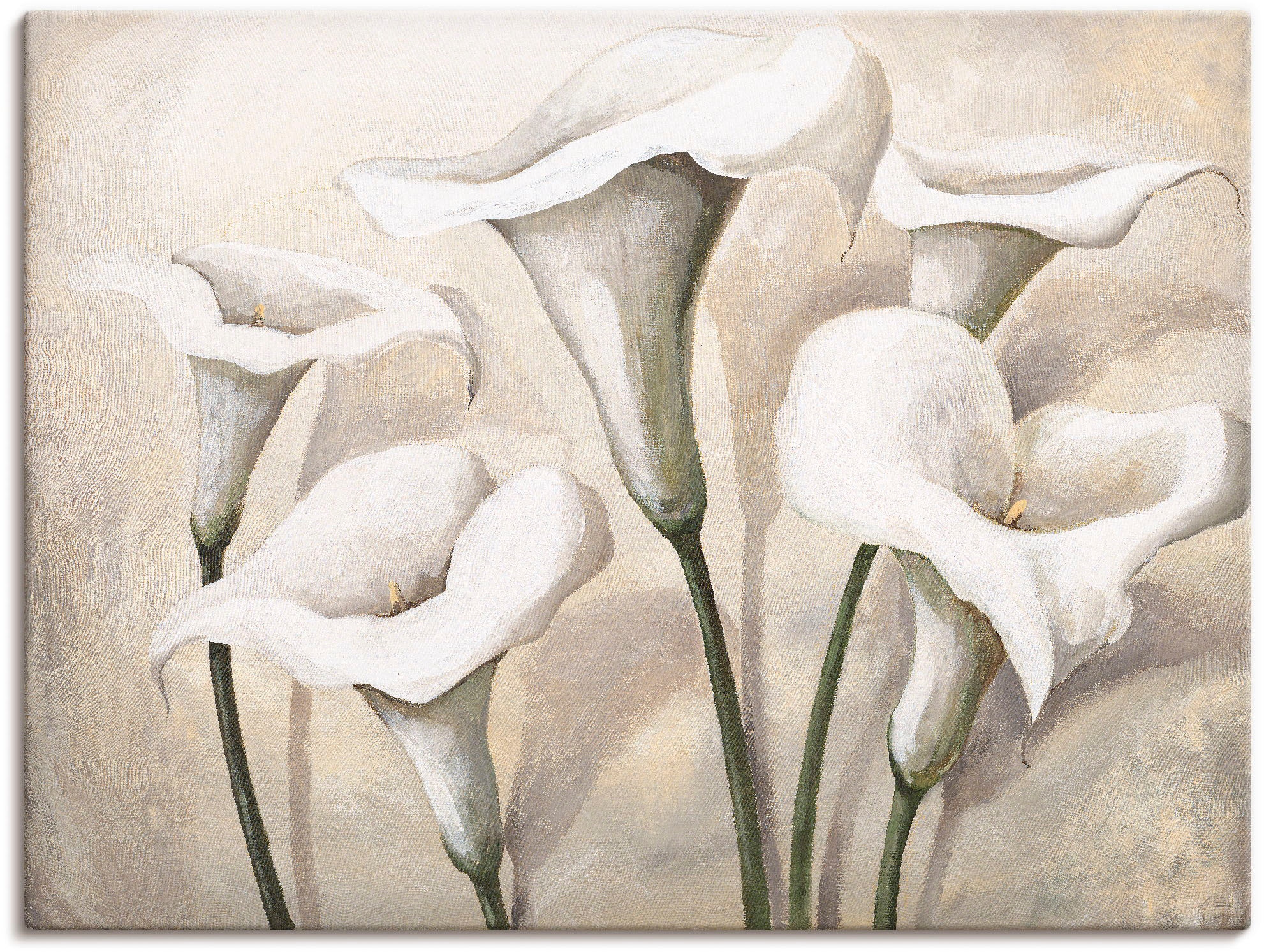 Image of Artland Leinwandbild "Callas I" Blumen 1 Stk. tlg. auf Holzrahmen gespannt