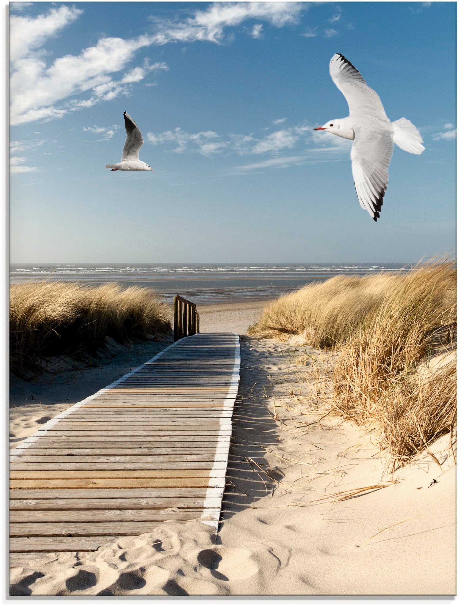 Image of Artland Glasbild "Nordseestrand auf Langeoog mit Möwen" Strand 1 Stk. tlg. in verschiedenen Grössen