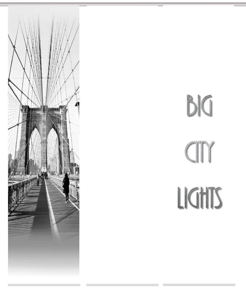 Image of HOME WOHNIDEEN Schiebegardine »BRIGO 3er SET«, (3 St.), Dekostoff-Seidenoptik, Digital bedruckt bei Ackermann Versand Schweiz