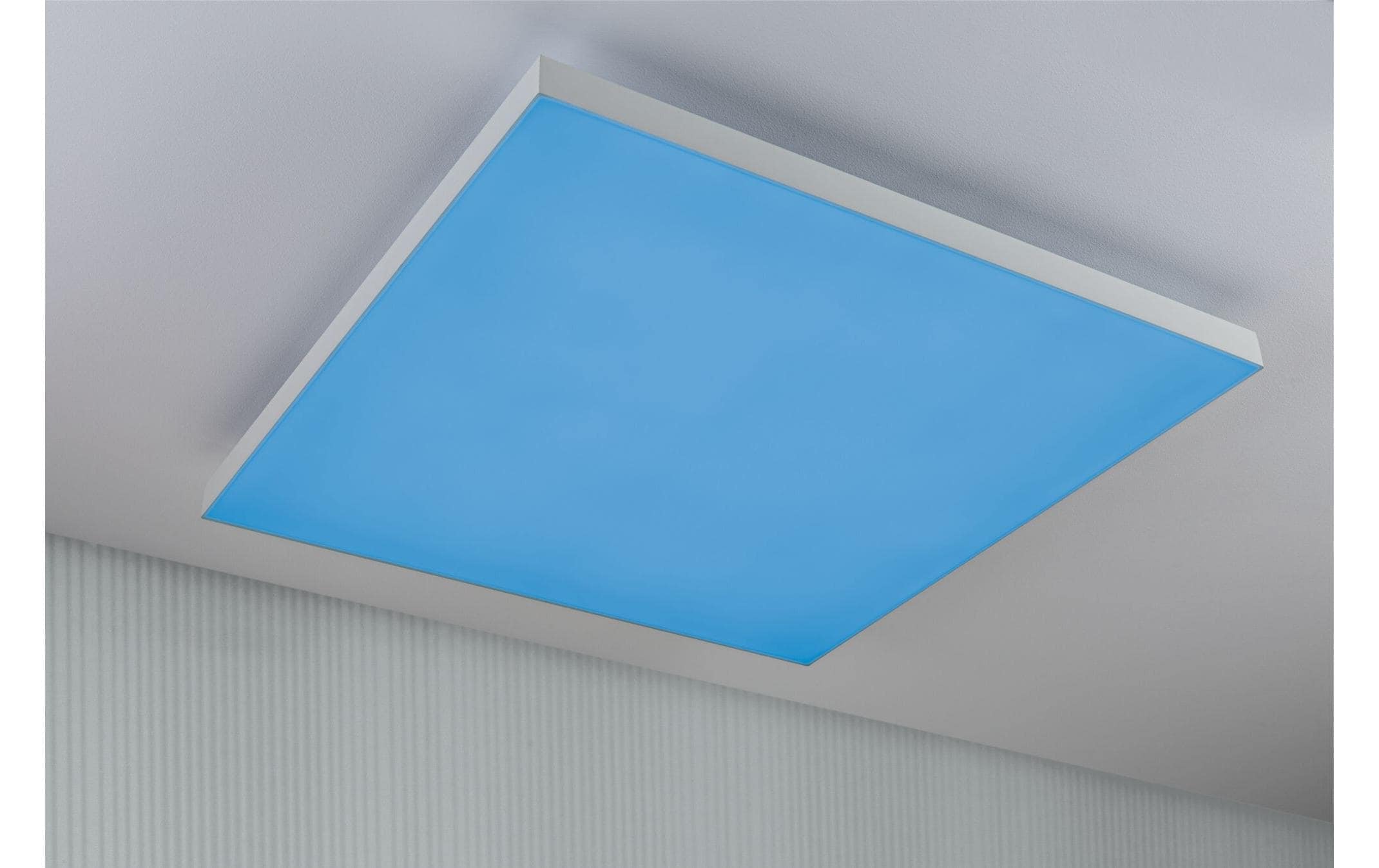 Paulmann Deckenleuchte »LED Panel Ve«