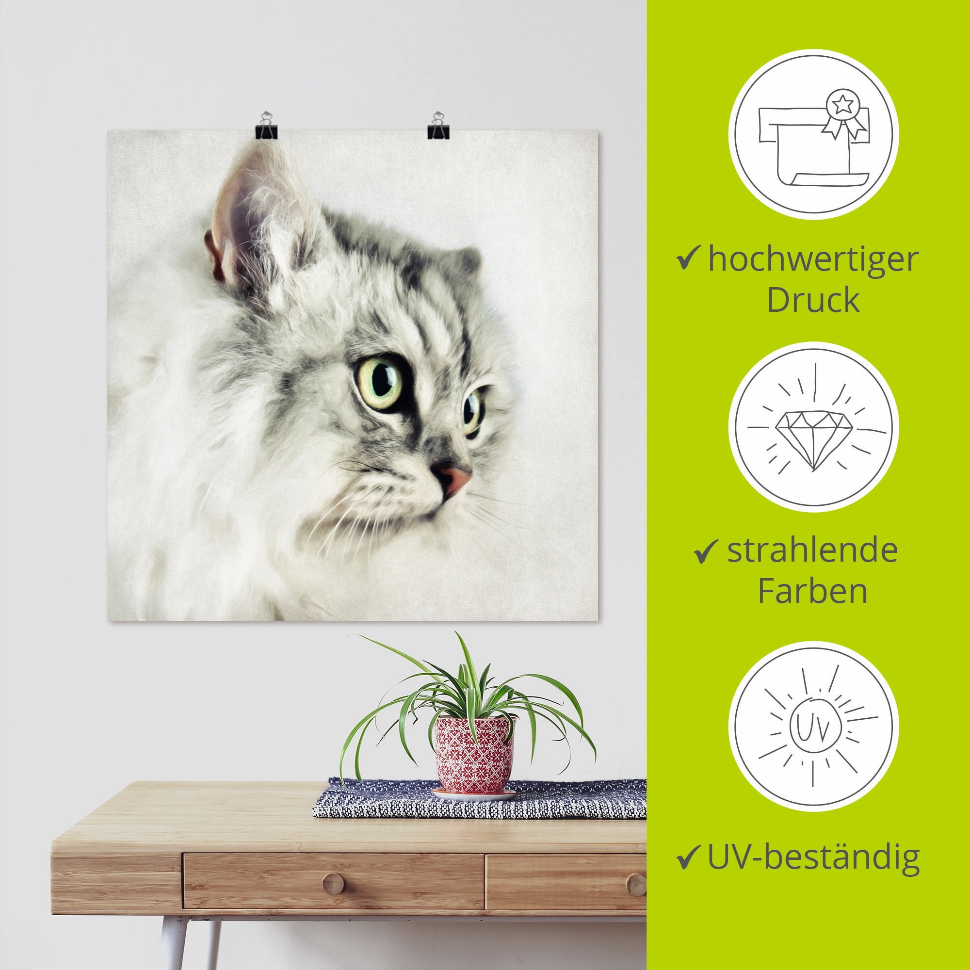 Artland Wandbild »Katzenporträt«, Haustiere, (1 St.), als Leinwandbild, Poster, Wandaufkleber in verschied. Grössen