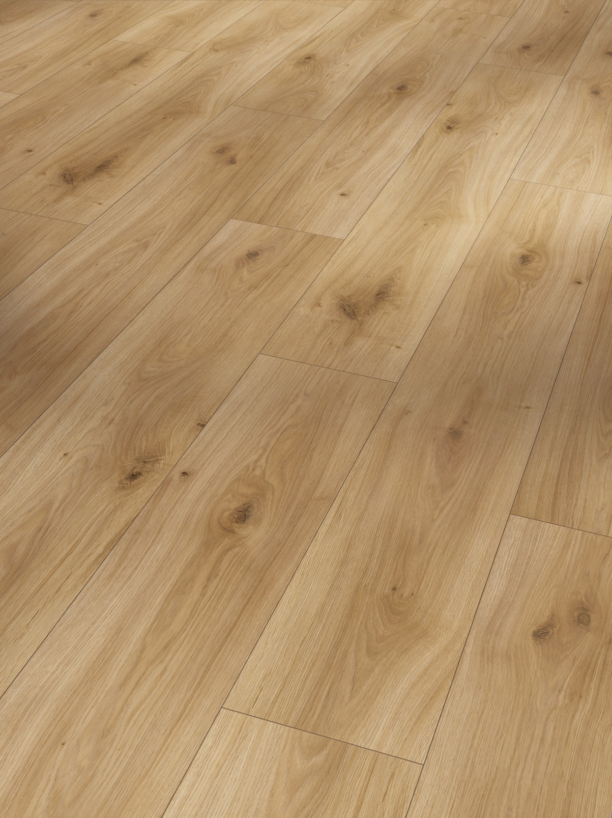 Image of PARADOR Laminat »Basic 400 - Eiche Horizont Natur«, (Packung), Kantenimprägnierung, 1285 x 194 mm, Stärke: 8 mm bei Ackermann Versand Schweiz