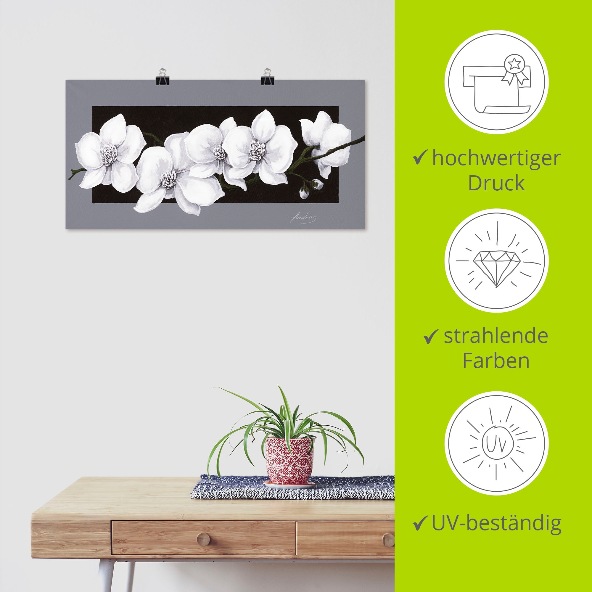 Artland Wandbild »Weisse Orchideen auf grau« Blumen 1 Stk. tlg. als Alubild, Leinwandbild, Poster in verschied. Grössen