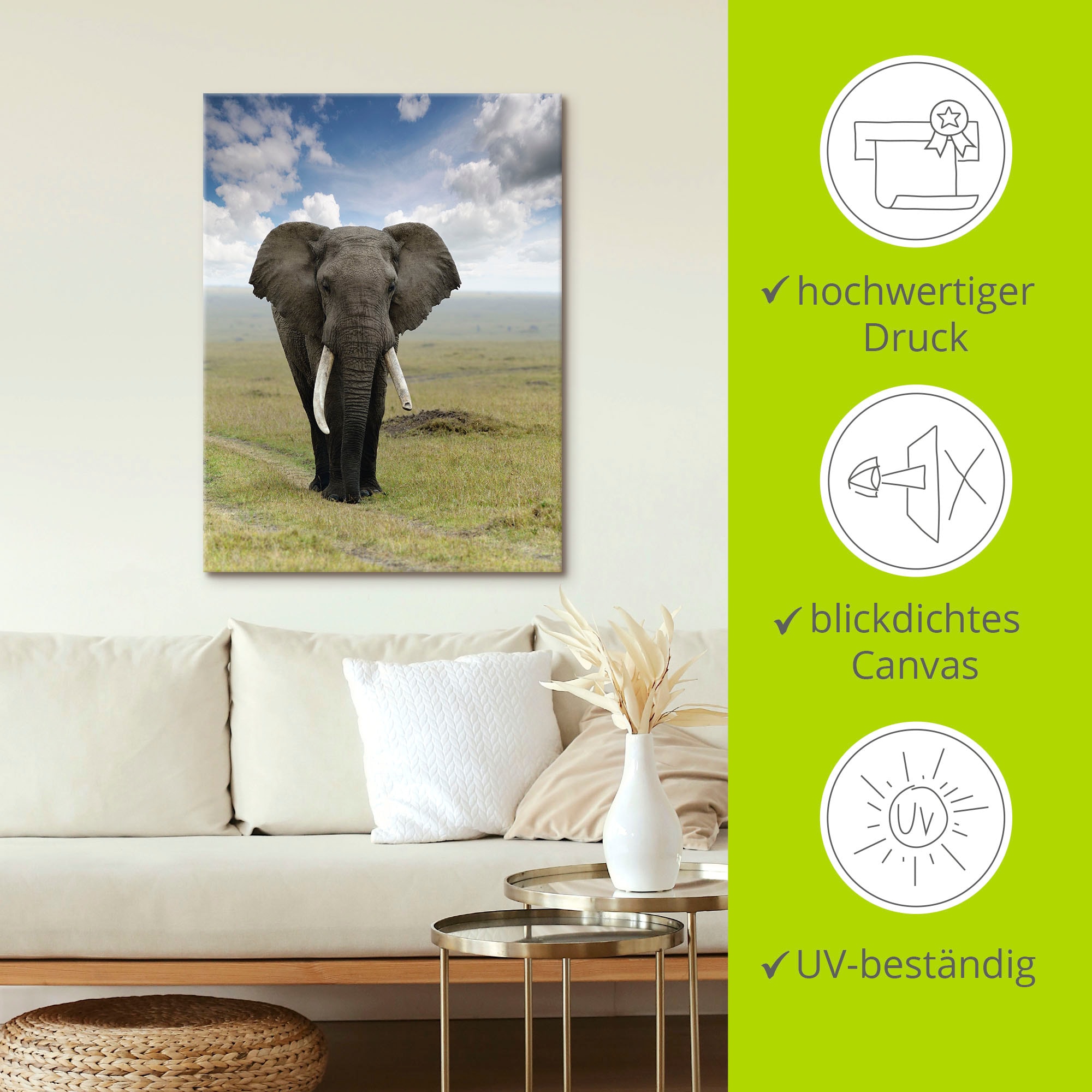 Artland Wandbild »Elefant«, Wildtiere, (1 St.), als Alubild, Outdoorbild, Leinwandbild, Poster in verschied. Grössen