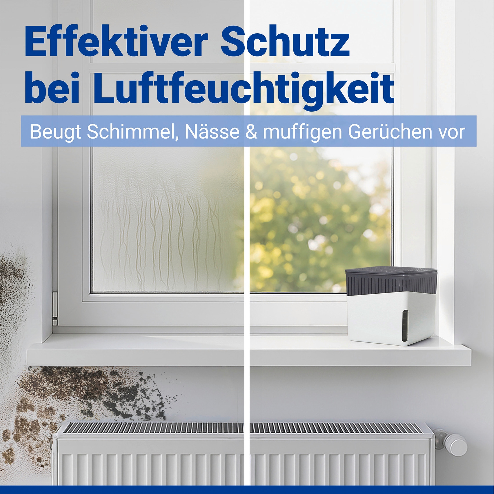 WENKO Déshumidificateur d'air »Cube« für 40 m³ Räume 2 x 500 g