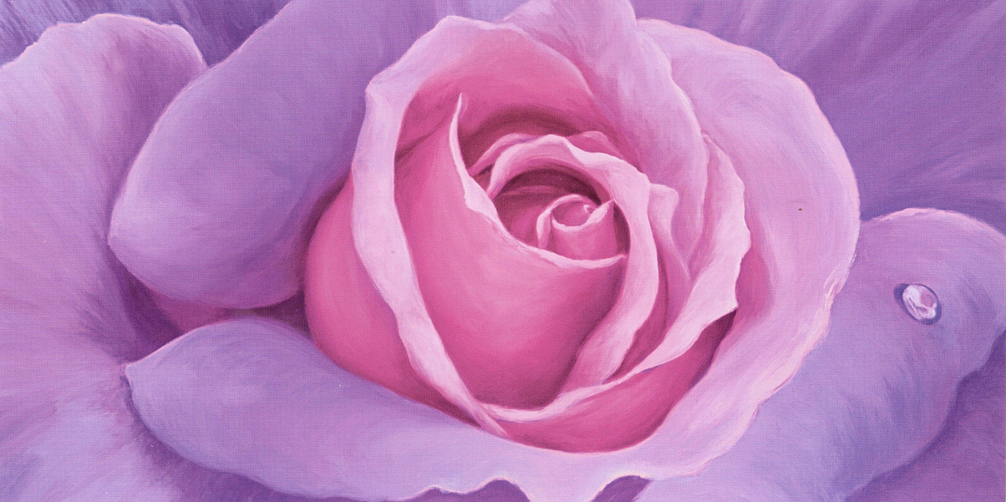 Image of my home Kunstdruck »CORTESE / La Vie en Rose«, (1 St.) bei Ackermann Versand Schweiz