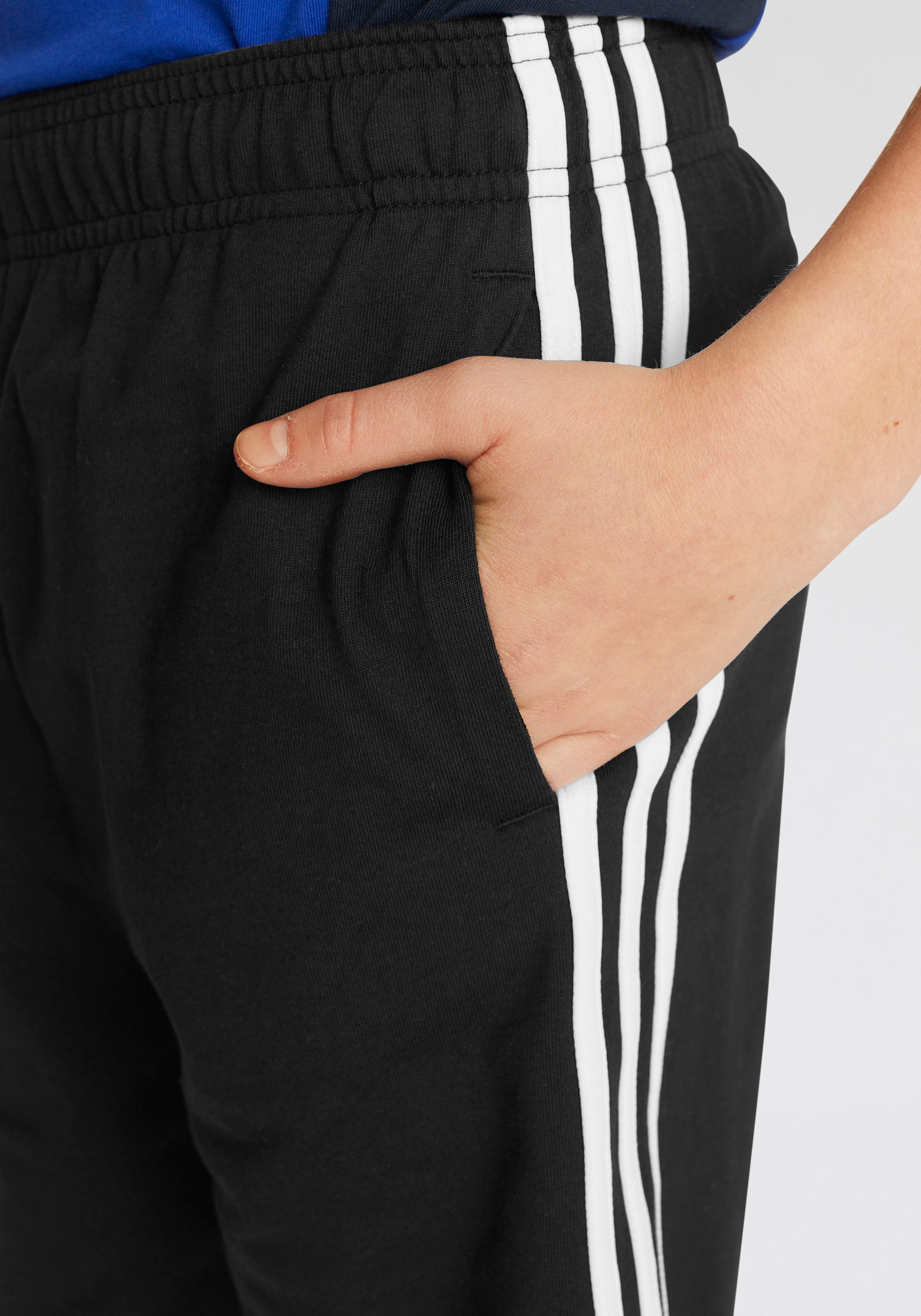 adidas Sportswear Shorts »ESSENTIALS 3-STREIFEN KNIT«, (1 tlg.)