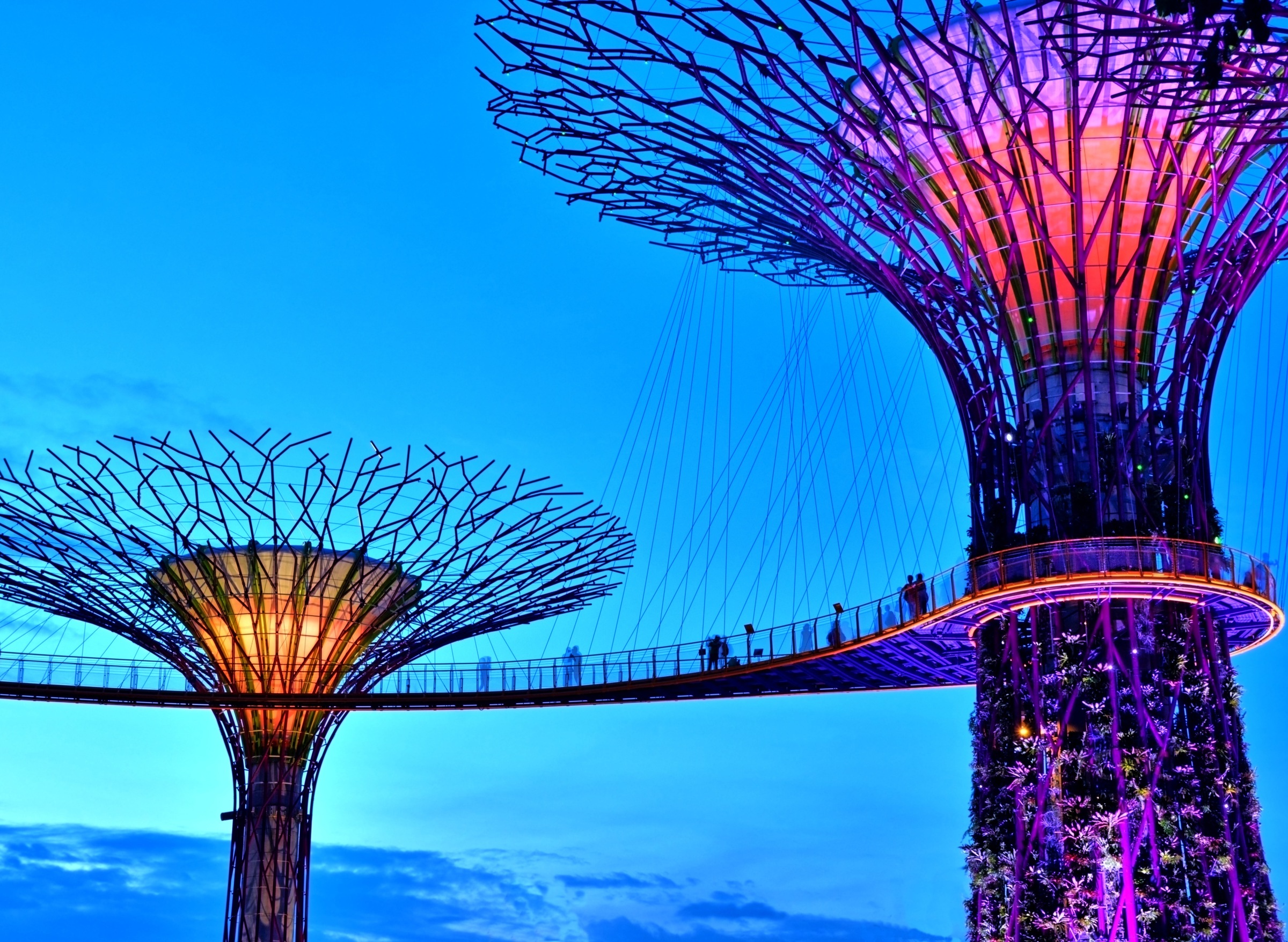 Image of Papermoon Fototapete »Singapore Bay Supertrees« bei Ackermann Versand Schweiz