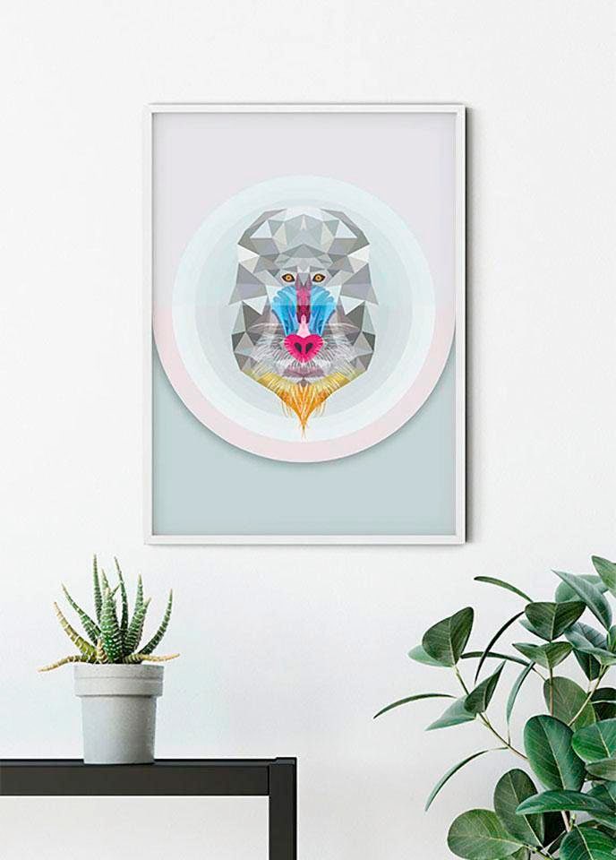 Image of Komar Bild "Baboon" Tiere 1 Stk. tlg. Wandbild zur Dekoration - ohne Rahmen