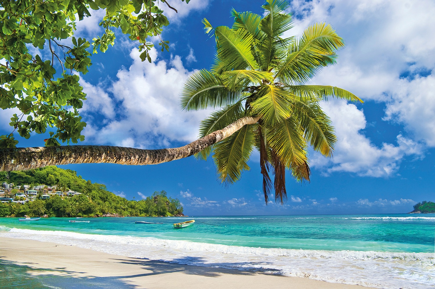 Image of Papermoon Fototapete »Seychelles Palm Beach« bei Ackermann Versand Schweiz
