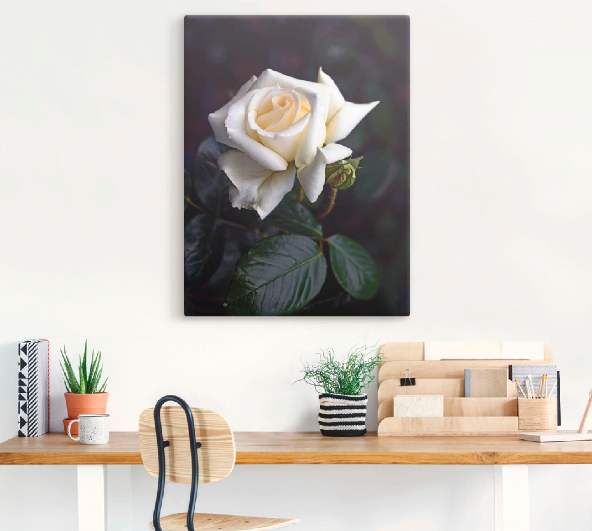 Artland Wandbild »Weiss-gelbe Rose«, Blumen, (1 St.), als Leinwandbild, Poster in verschied. Grössen