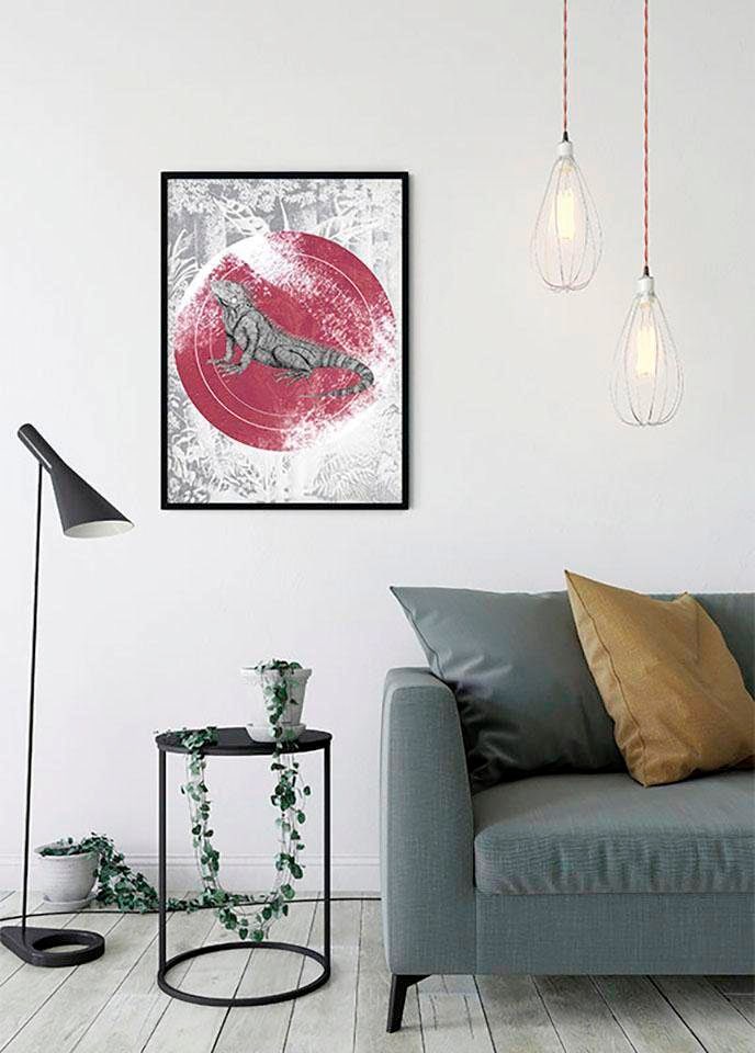 Komar Image »Iguana Circle« 1 cuis tlg. Wandbild zur Dekoration - ohne Rahmen