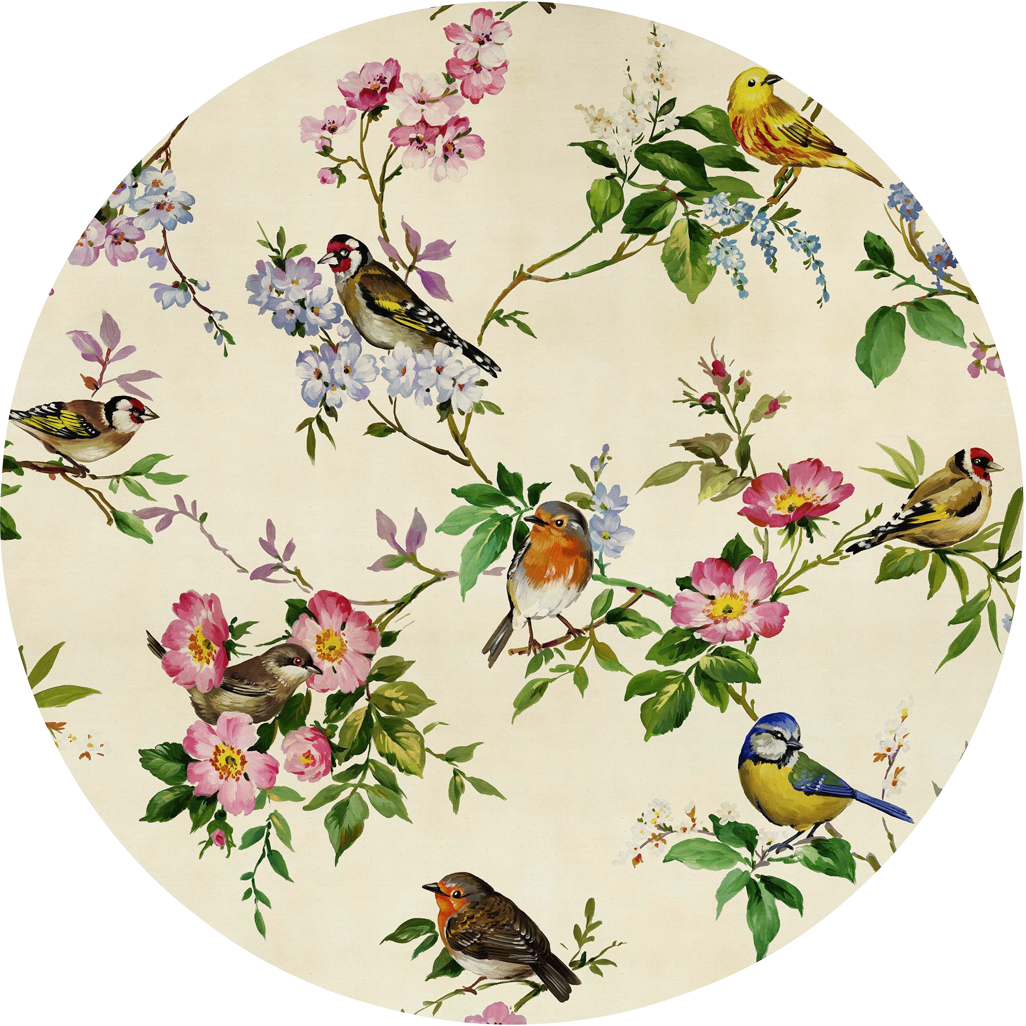 Image of Komar Fototapete "Vlies selbstklebend - Bird Party - Grösse 125 x 125 cm" bedruckt glatt Wohnzimmer, Schlafzimmer
