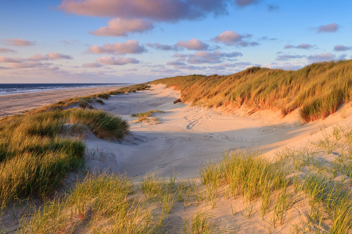 Image of Papermoon Fototapete "Dunes Sunset" bedruckt glatt