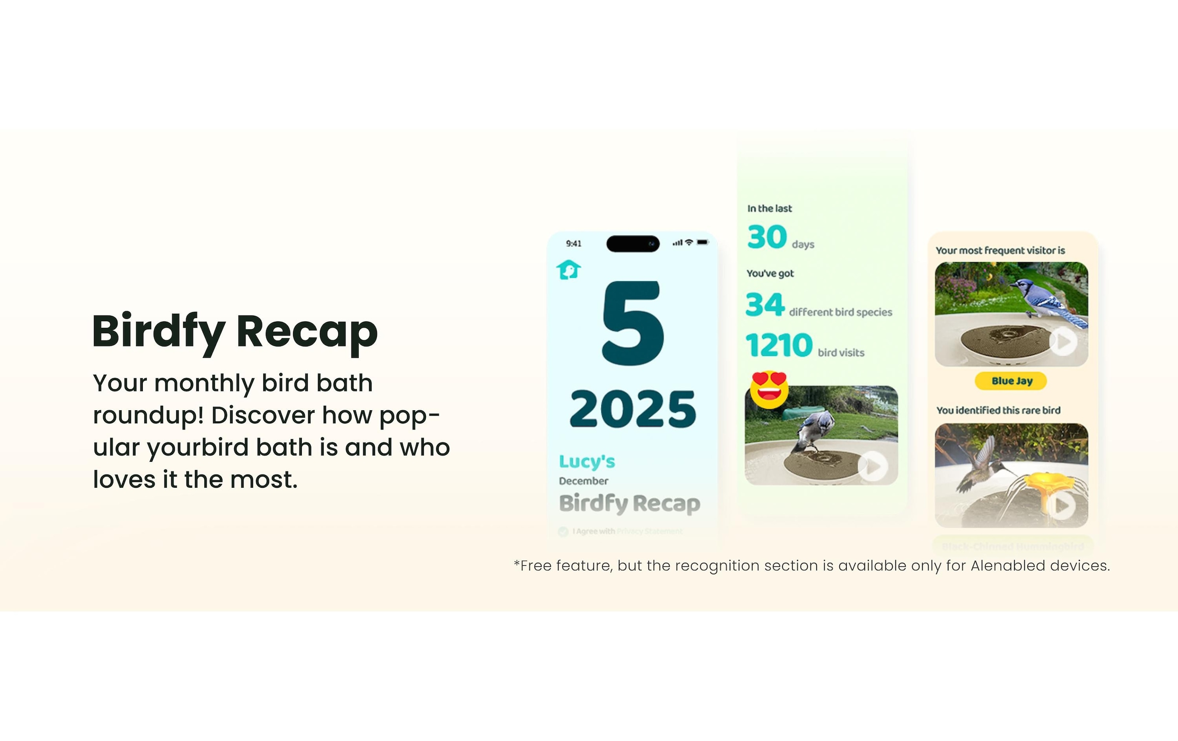 Birdfy Vogeltränke »Vogelbad mit Kamera« Solarbetrieben, KI und Video Vogelerkennung