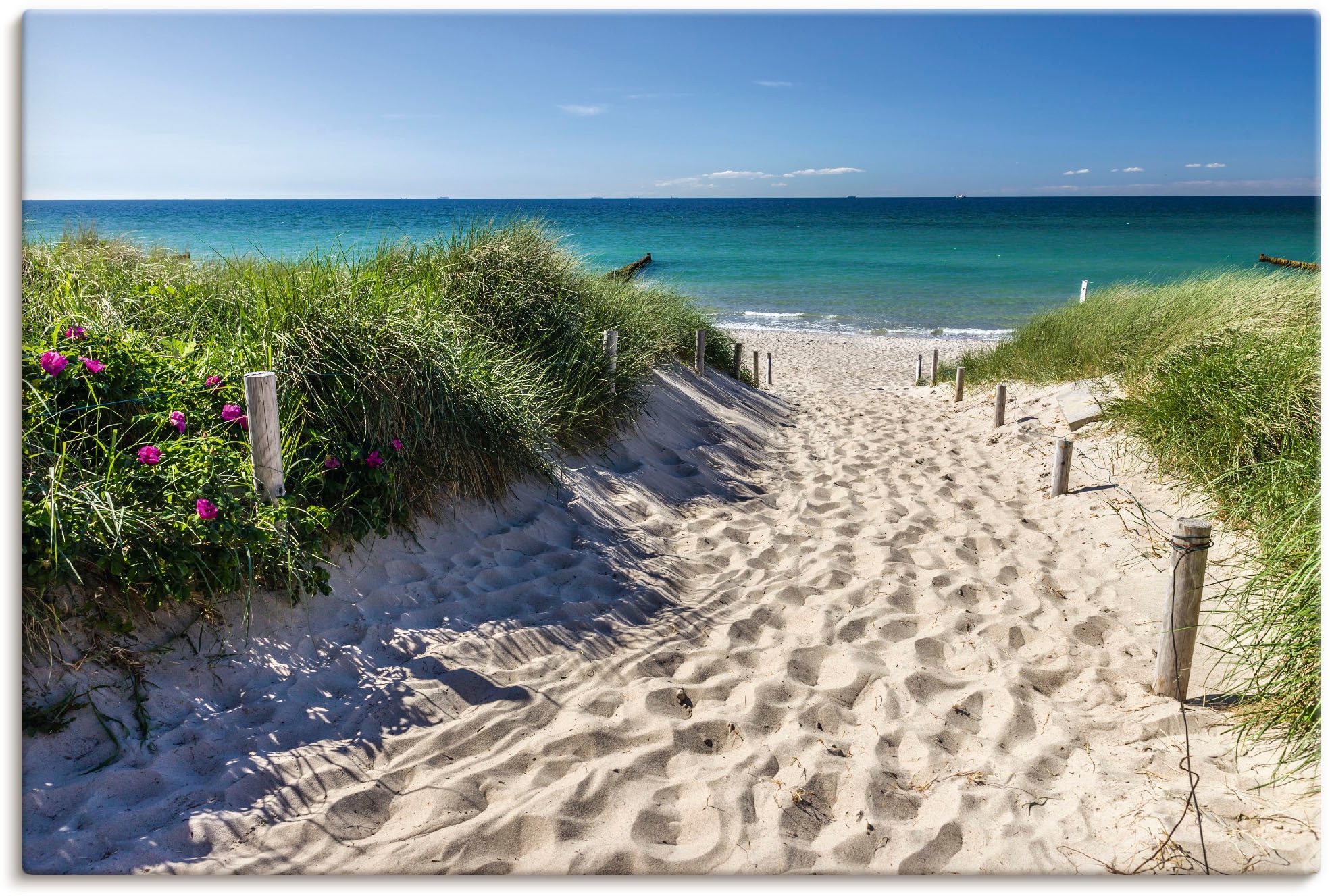 Image of Artland Wandbild "Weg zum Strand an der Ostsee" Strandbilder 1 Stk. tlg. als Alubild, Leinwandbild, Poster in verschied. Grössen