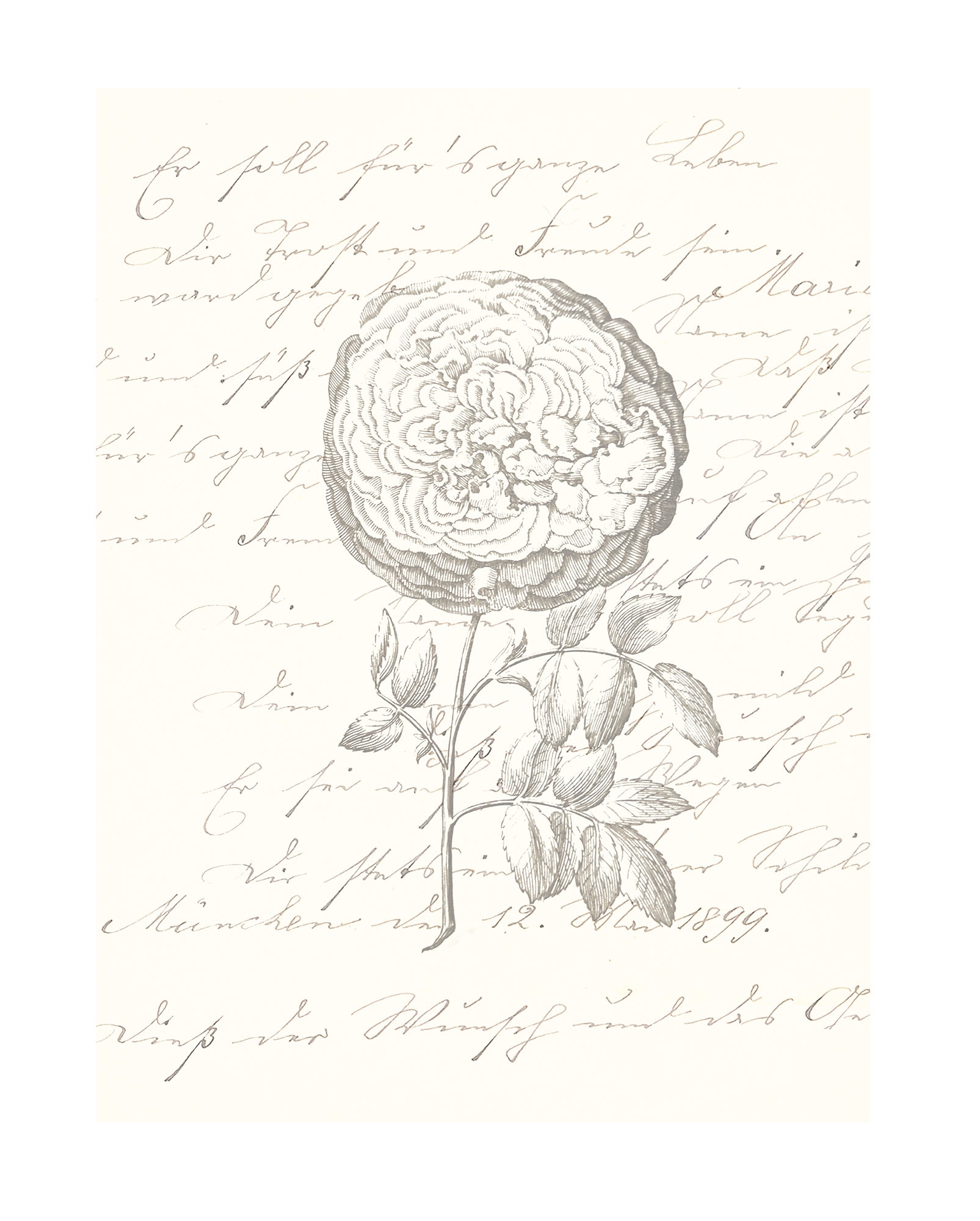 Image of Komar Bild "Ma Chérie" Natur 1 Stk. tlg. Wandbild zur Dekoration - ohne Rahmen