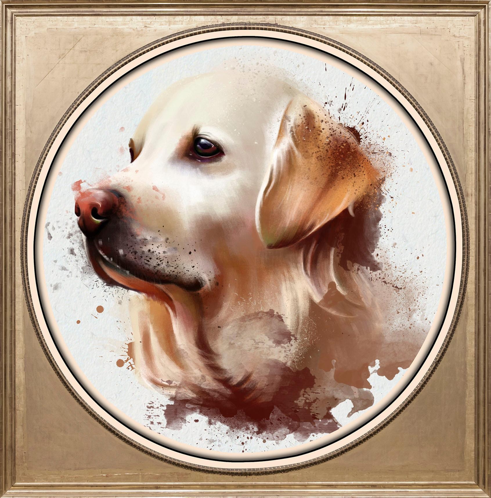 queence Acrylglasbild »Goldfarbenen Retriever«