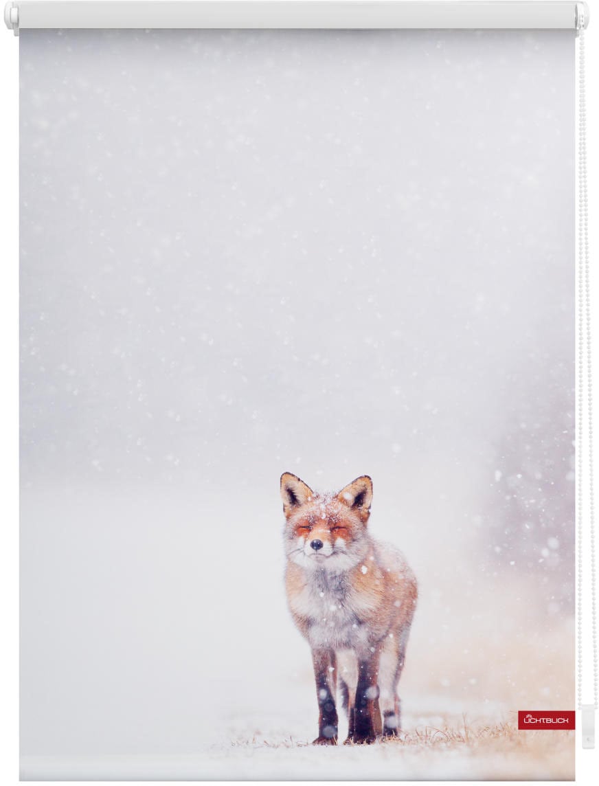 Image of LICHTBLICK ORIGINAL Seitenzugrollo "Rollo Klemmfix, ohne Bohren, Verdunkelung, Fuchs im Schnee - Weiss Rot" verdunkelnd Verdunkelung energiesparend freihängend