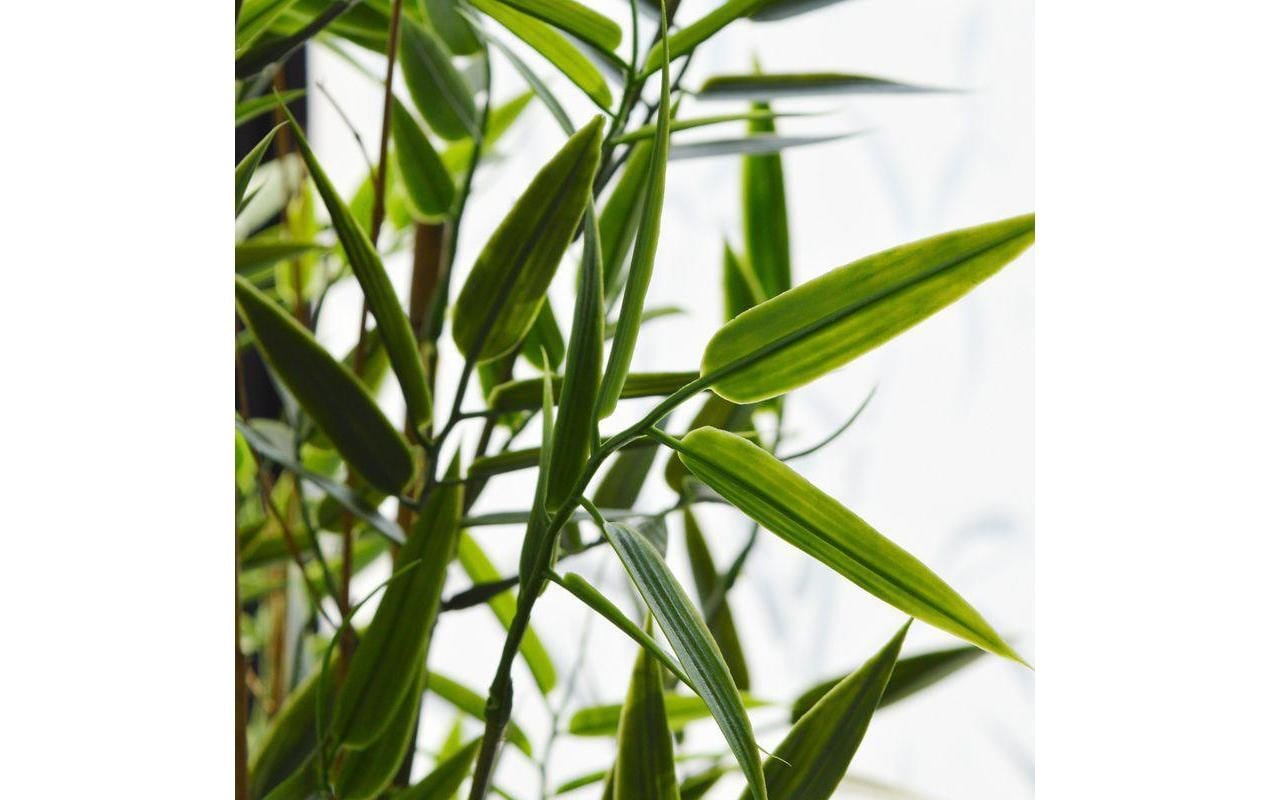 Botanic-Haus Kunstblume »Bambus Japanisch, UV-Bestand.«