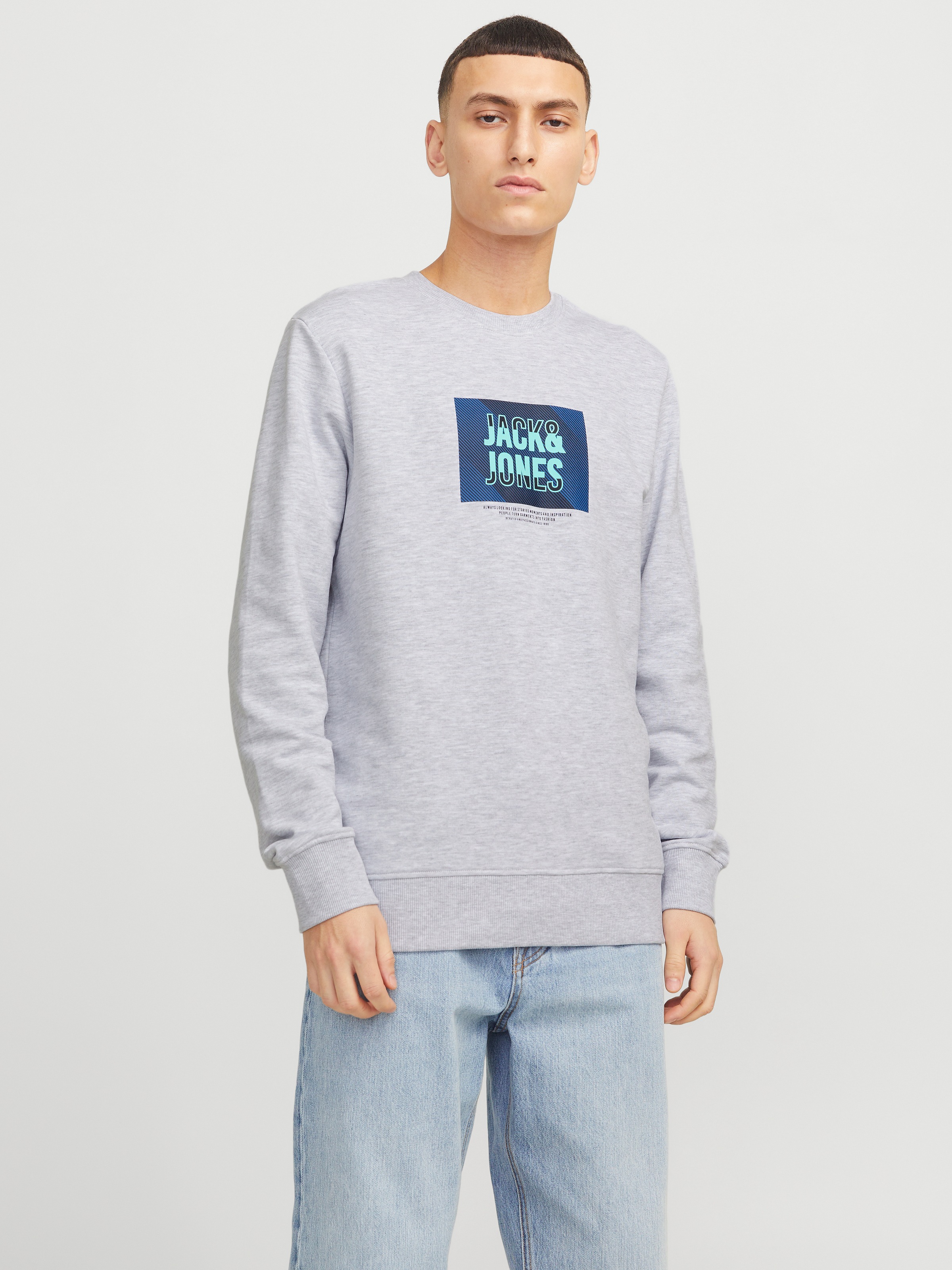 Jack & Jones Sweatshirt »JJHUDSON – Sweatshirt mit Print, Rundhals und Kapuze«, Print, modisch, regular fit, angeraute Sweatware, Rundhals