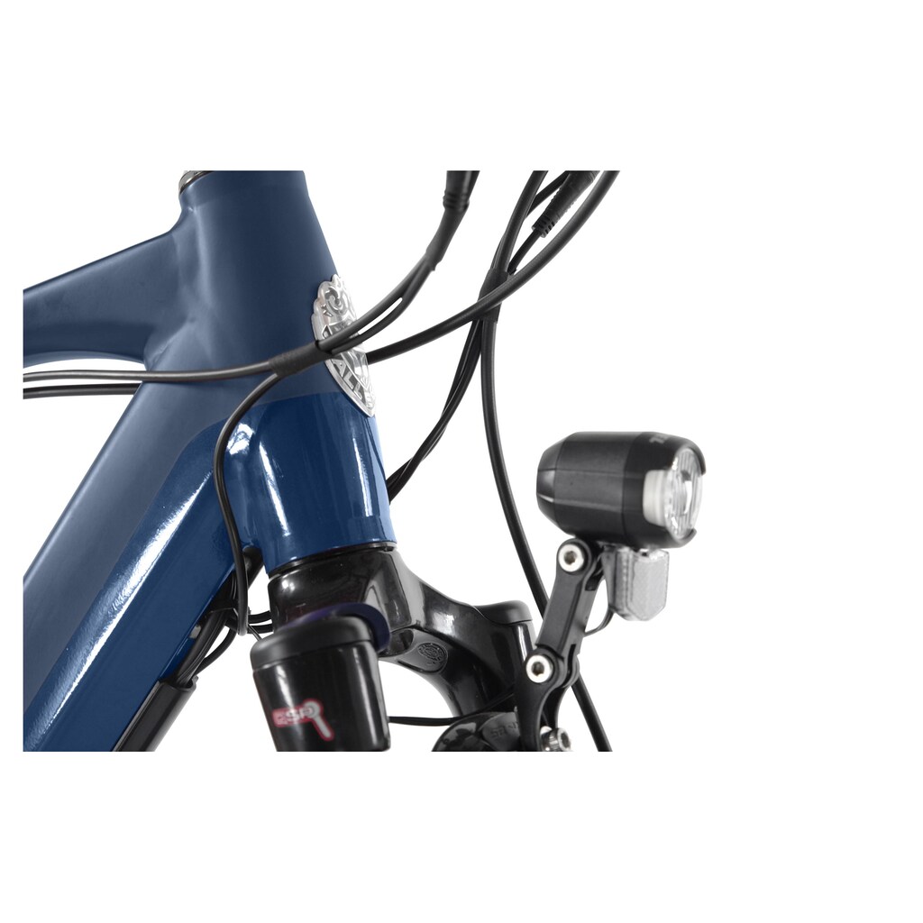 ALLEGRO E-Bike »Alltour ATIM°03«, Heckmotor 250 W