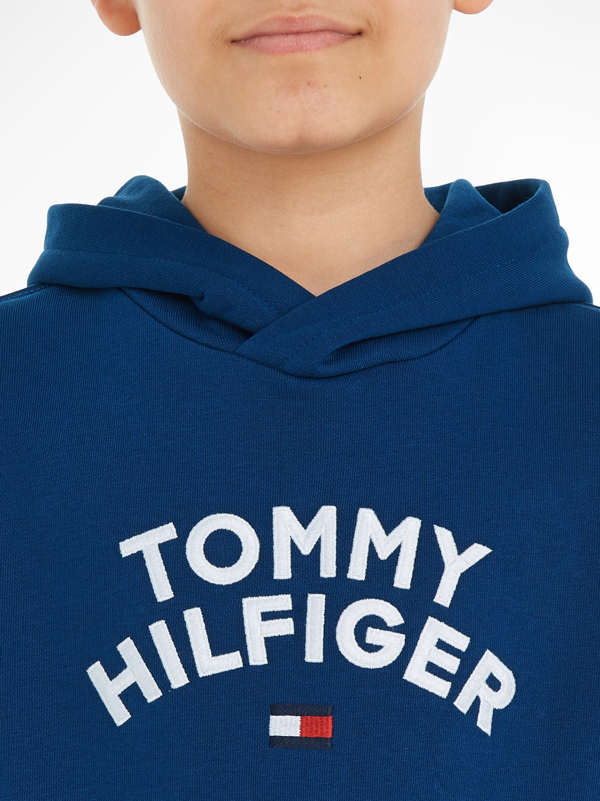 Hoodie Hilfiger à réduit! HOODIE« Tommy HILFIGER »TOMMY FLAG prix