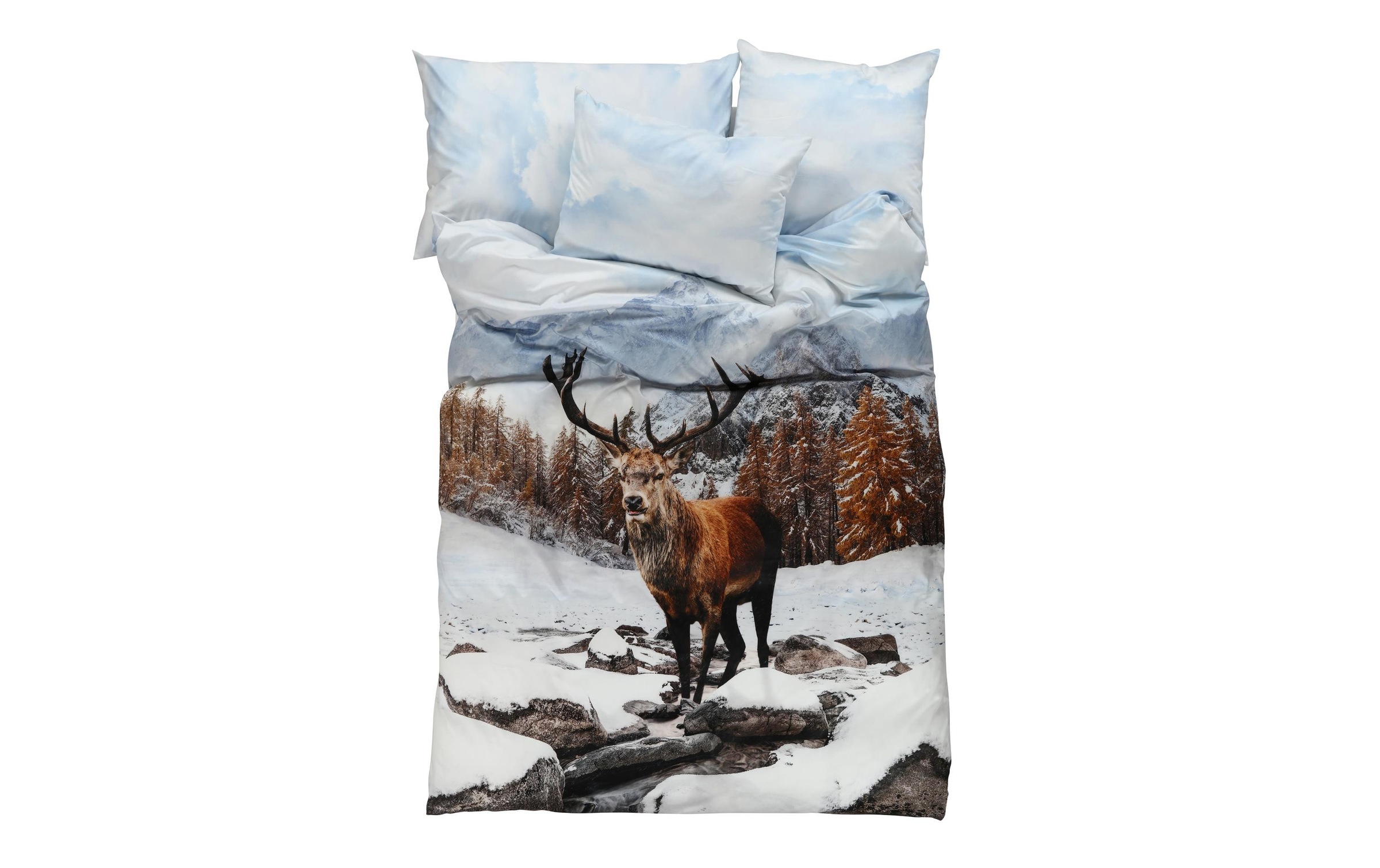 Image of Tamara R Kissenbezug »Eugen 50«, (1 St.) bei Ackermann Versand Schweiz