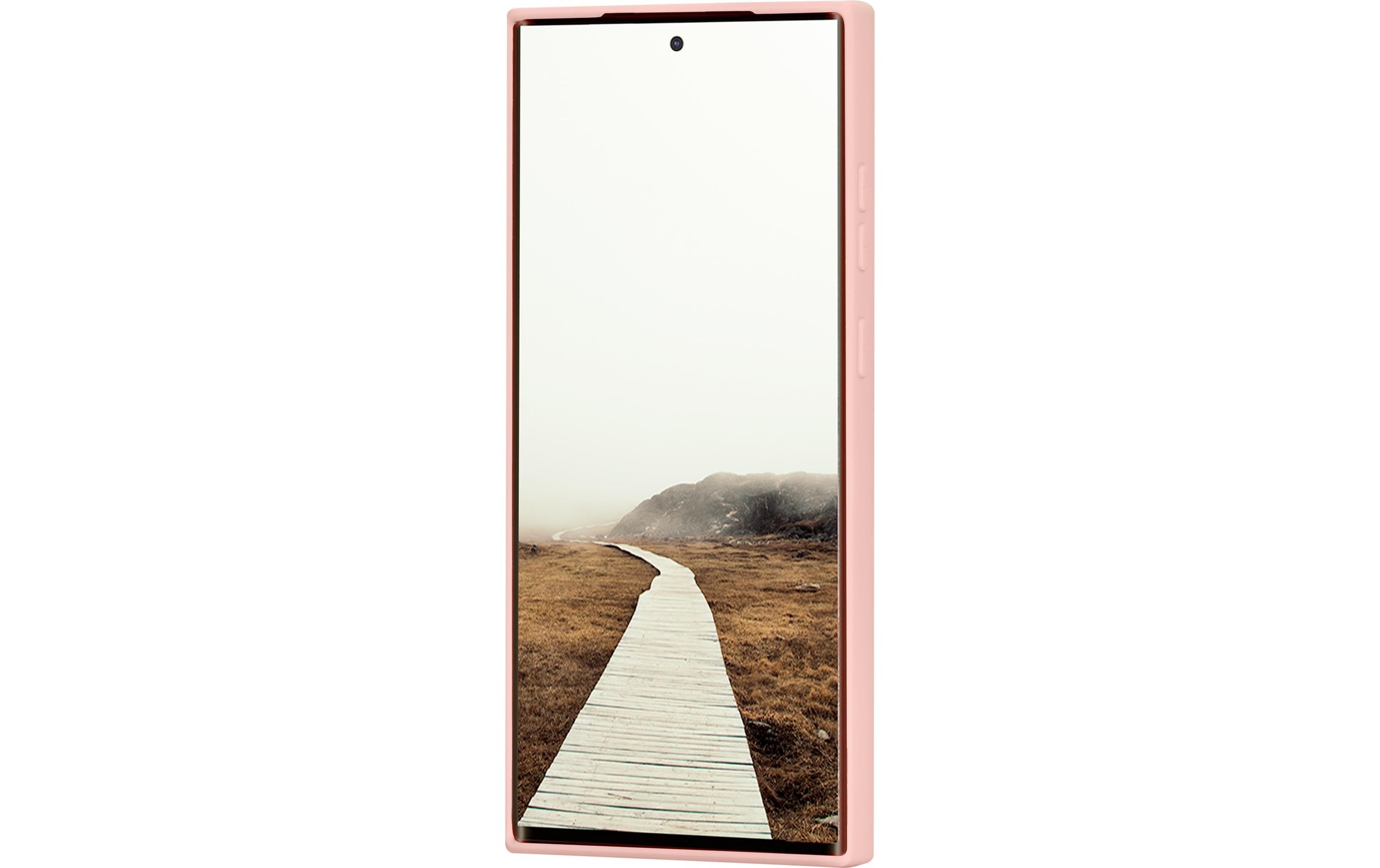 dbramante1928 Backcover »Cover Greenland«