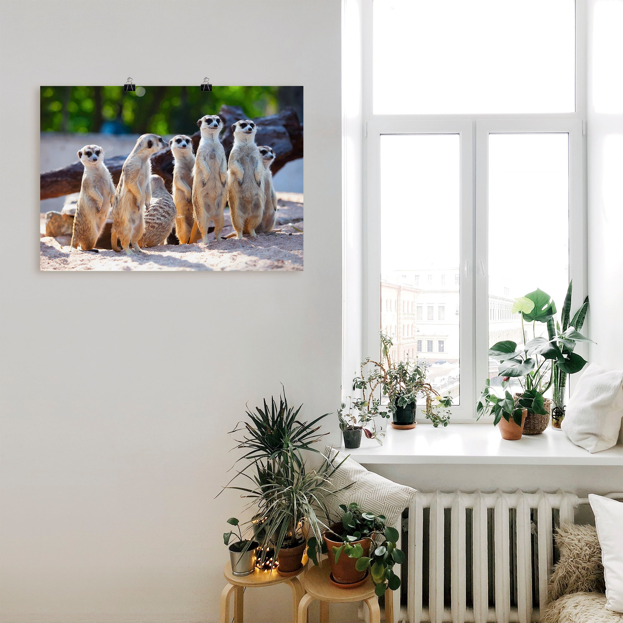 Artland Poster »Erdmännchenfamilie« 1 cuis tlg. ohne Rahmen