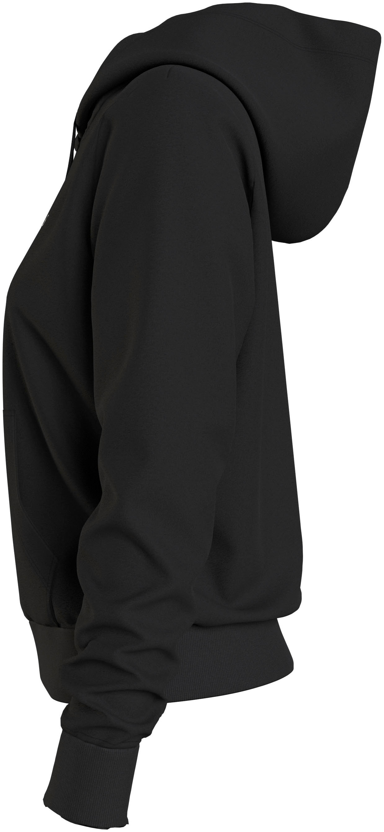 Tommy Jeans Kapuzensweatshirt »TJW REG LINEAR HOODIE«, mit Logoschriftzug