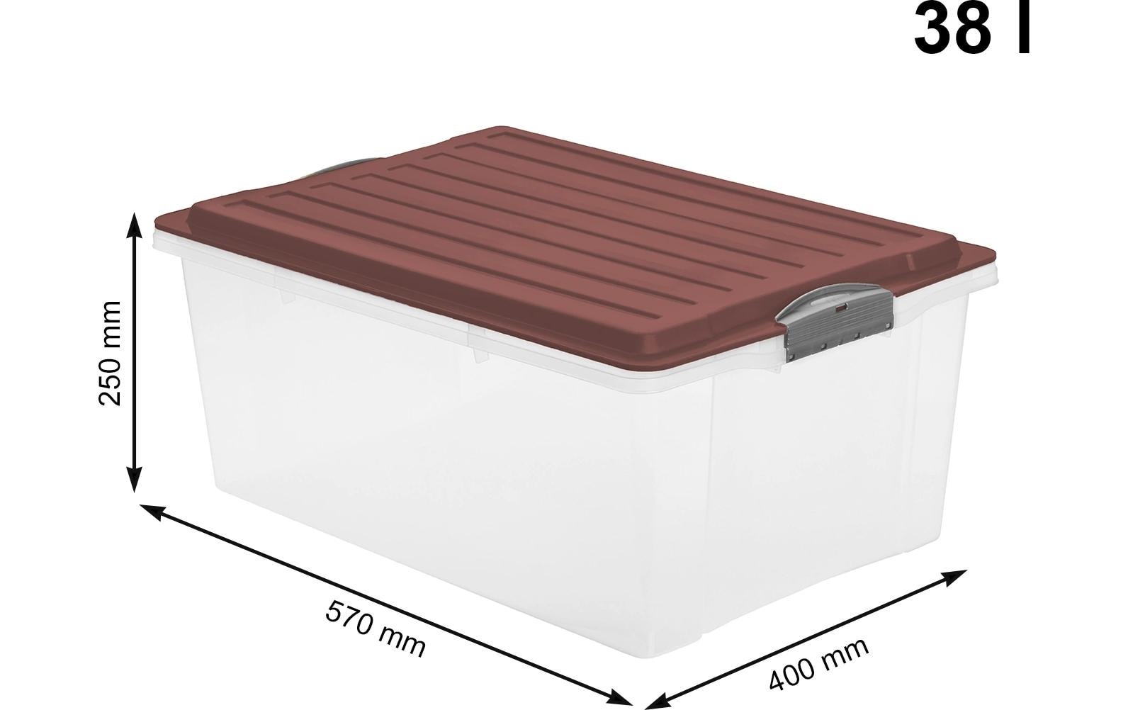 ROTHO Aufbewahrungsbox »COMPACT, 3 tlg.«, (3 St.)