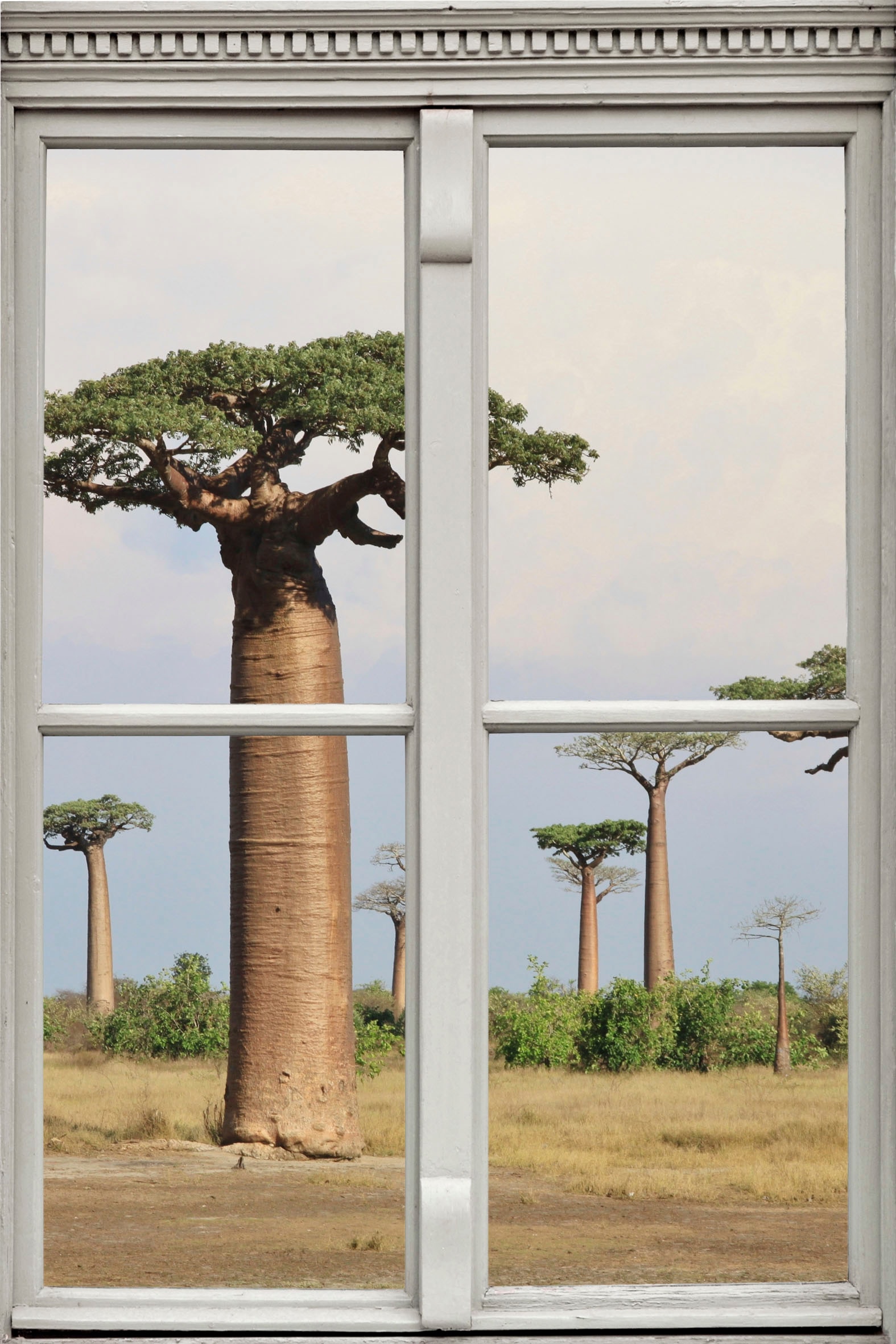 Image of queence Wandsticker "Affenbrotbäume" Wandsticker, Wandbild, selbstklebend, 3D, Fenster