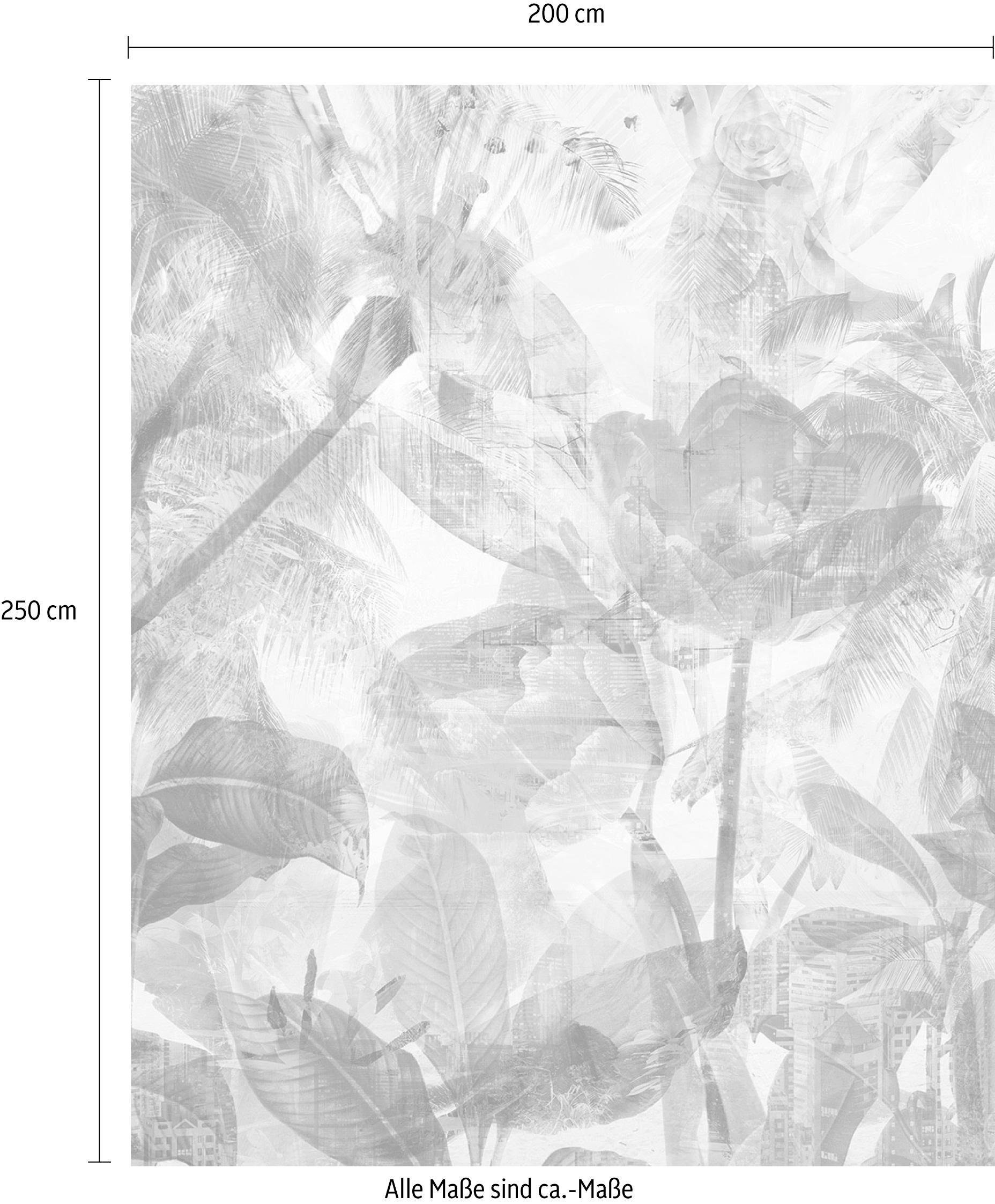 Komar Vliestapete »Digitaldruck Vlies - Metropical Faded - Grösse 200 x 250 cm«, bedruckt, Wohnzimmer, Schlafzimmer