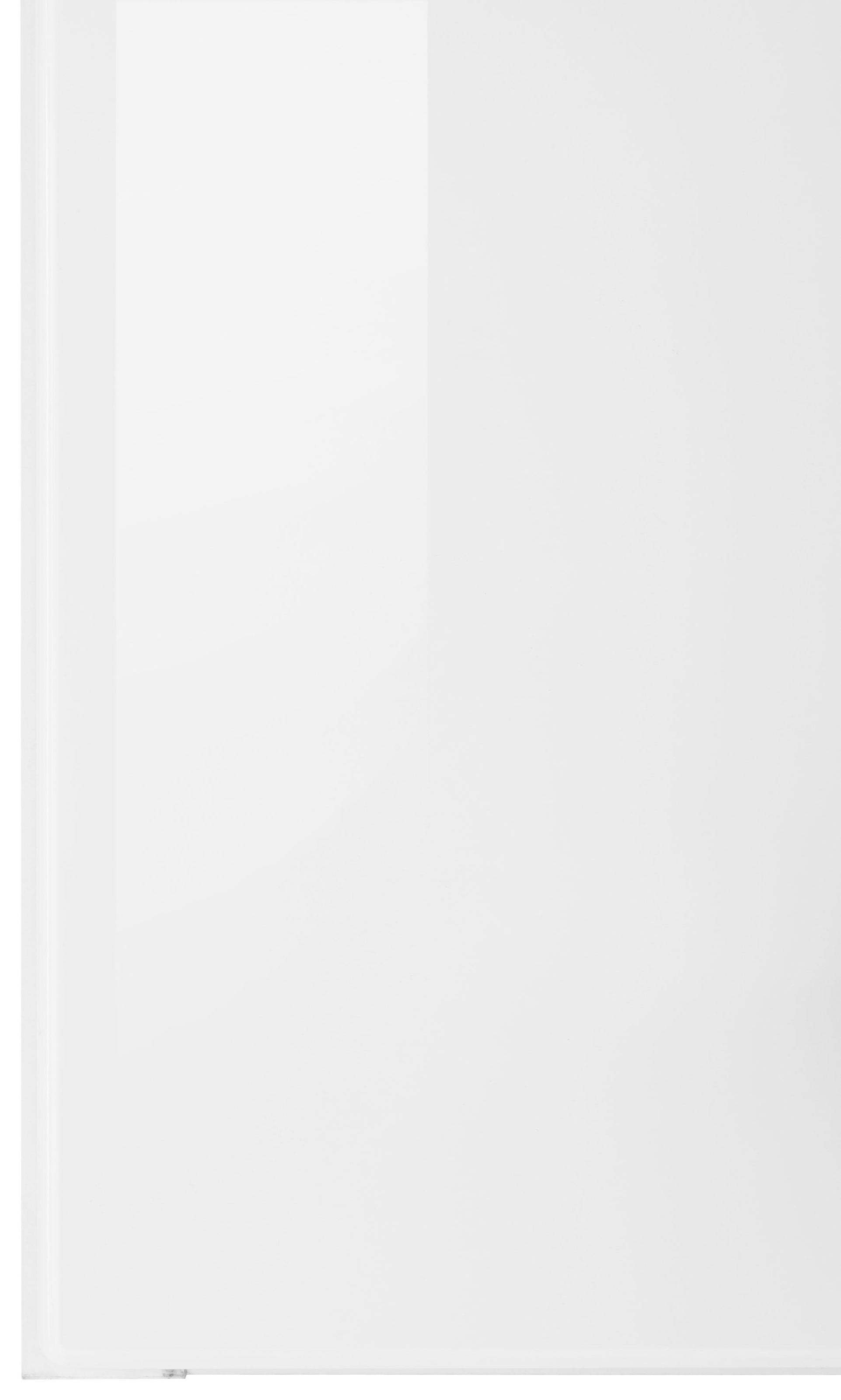 ♕ HELD MÖBEL Hängeschrank »Tulsa«, 100 cm breit, 57 cm hoch, 2 Türen, schwarzer  Metallgriff, MDF Front versandkostenfrei auf
