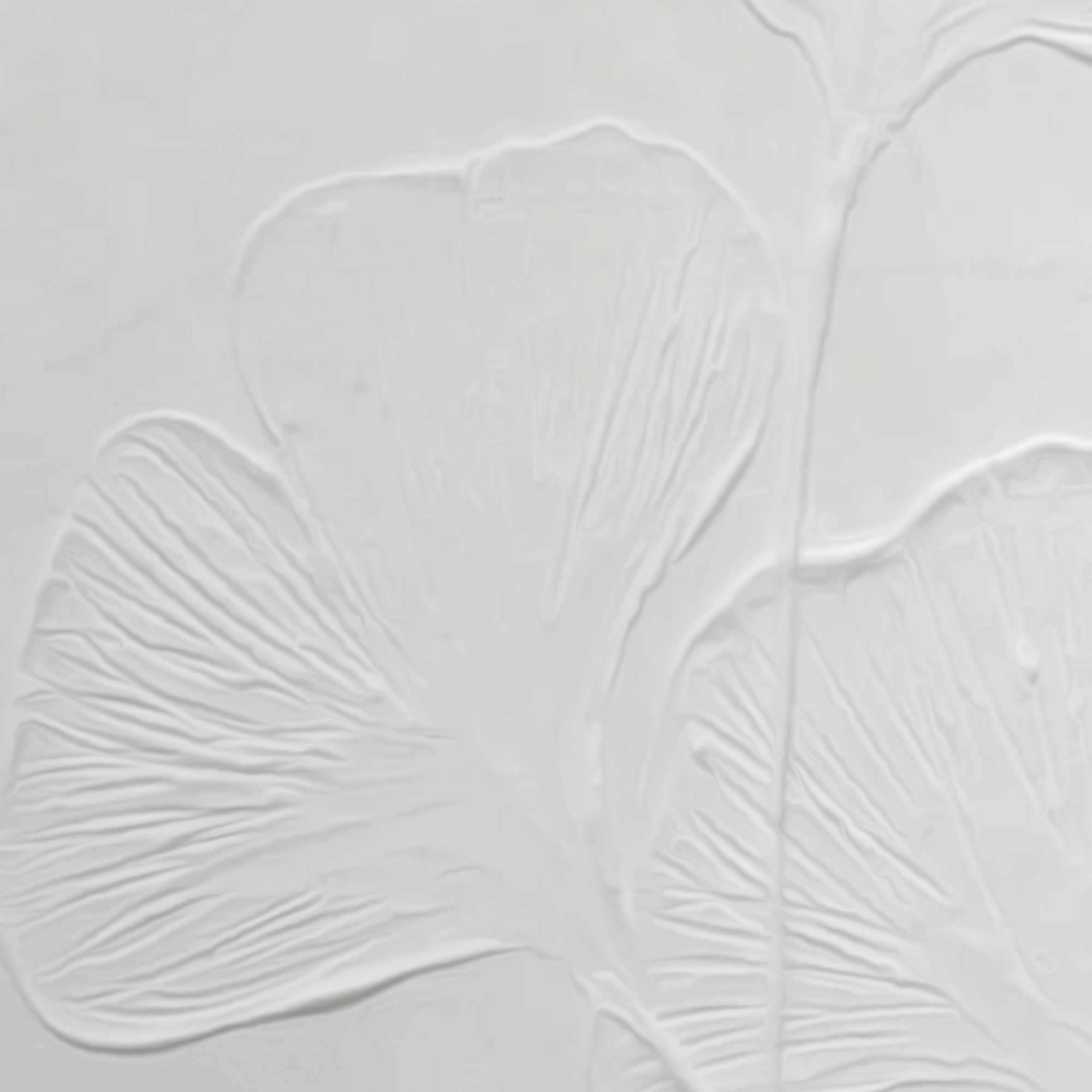 Reinders! Wandbild »Ginkgo-Blätter« Wohnzimmer - Weiss - MDF - Blumen und Pflanzen - 30x40 cm