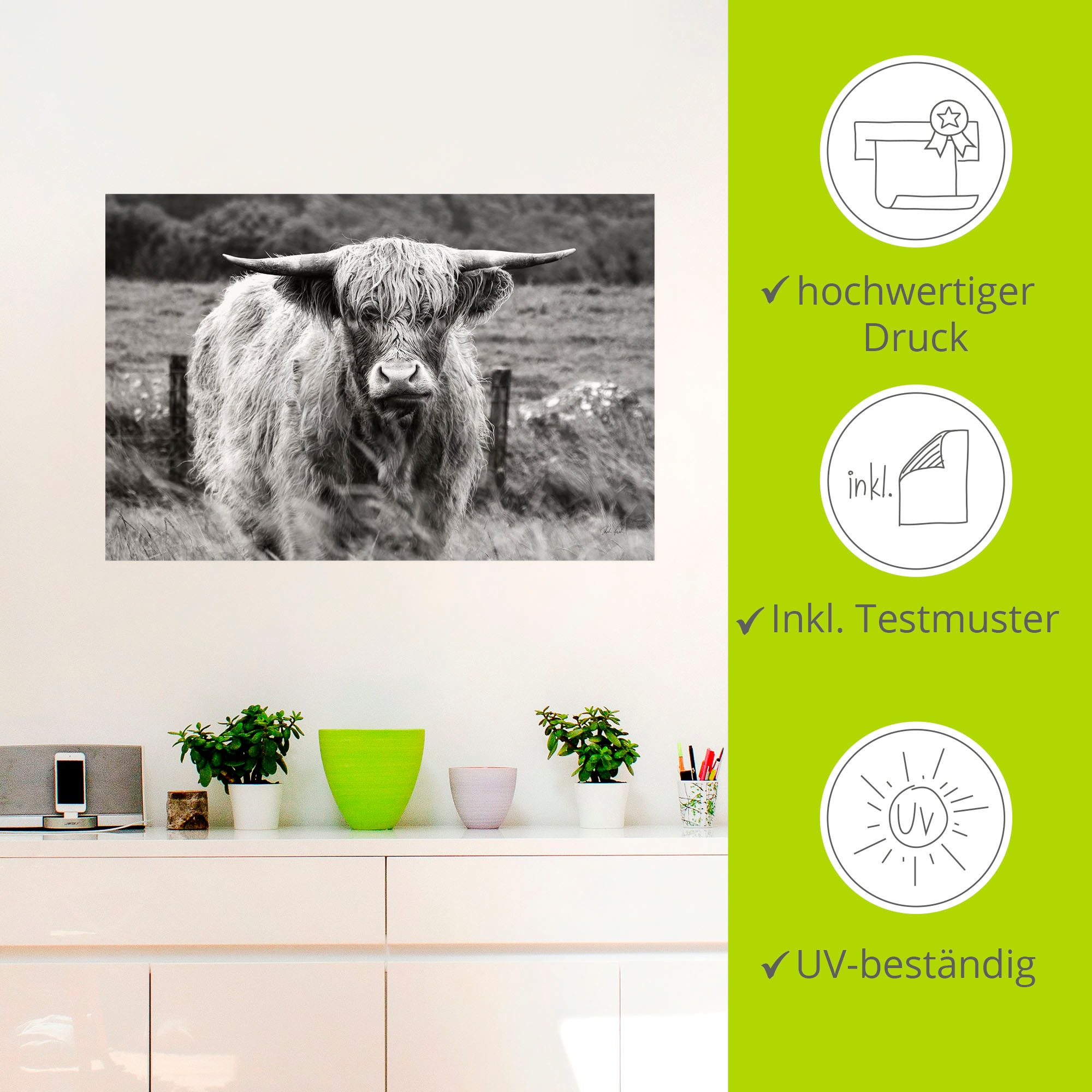 Artland Wandbild »Happy Highland« Wildtiere 1 Stk. tlg. als Alubild, Leinwandbild, Poster, Wandaufkleber in verschied. Grössen