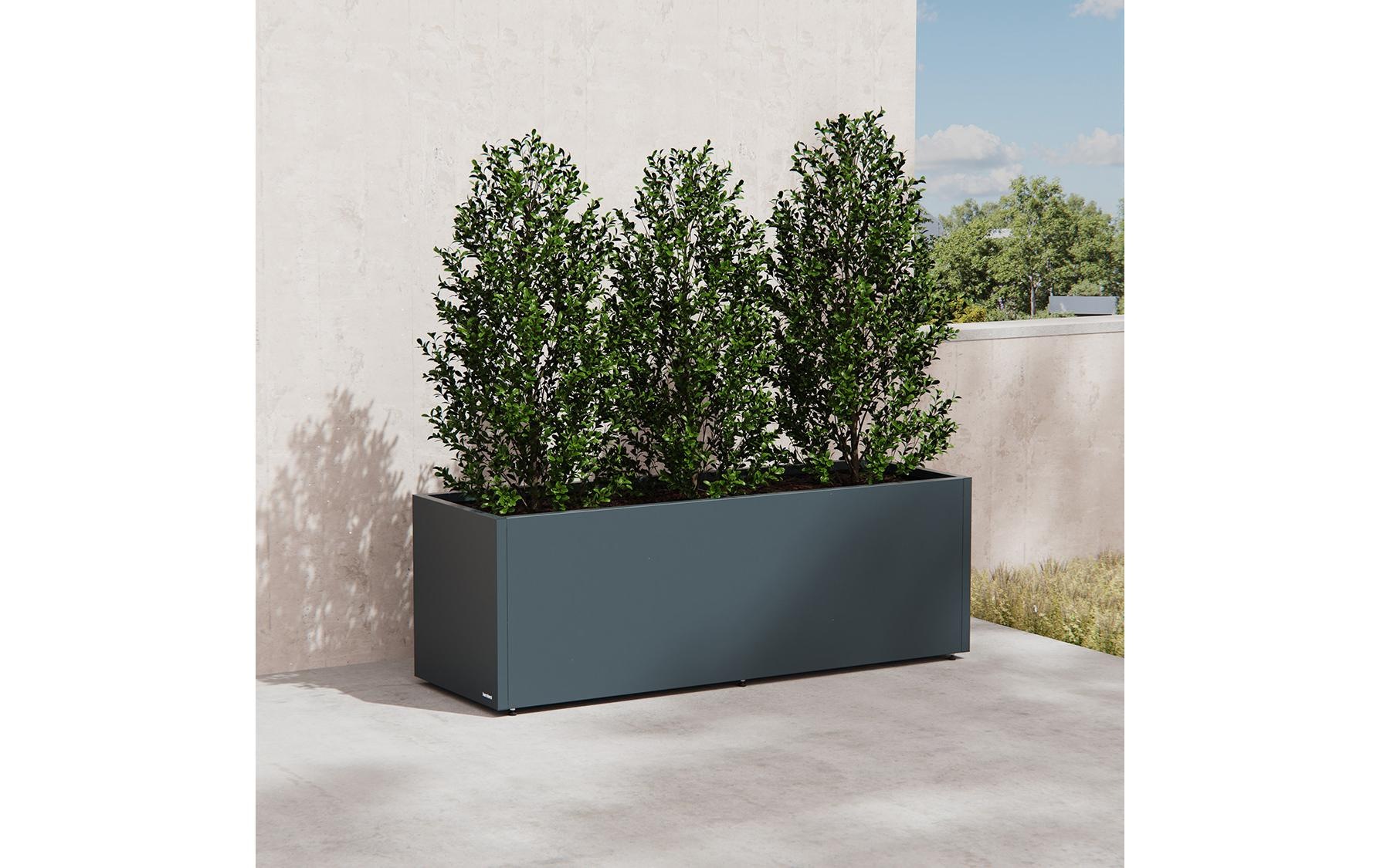 Herstera Garden Bac à plantes aus Stahl, 150x50x50 cm, anthrazit