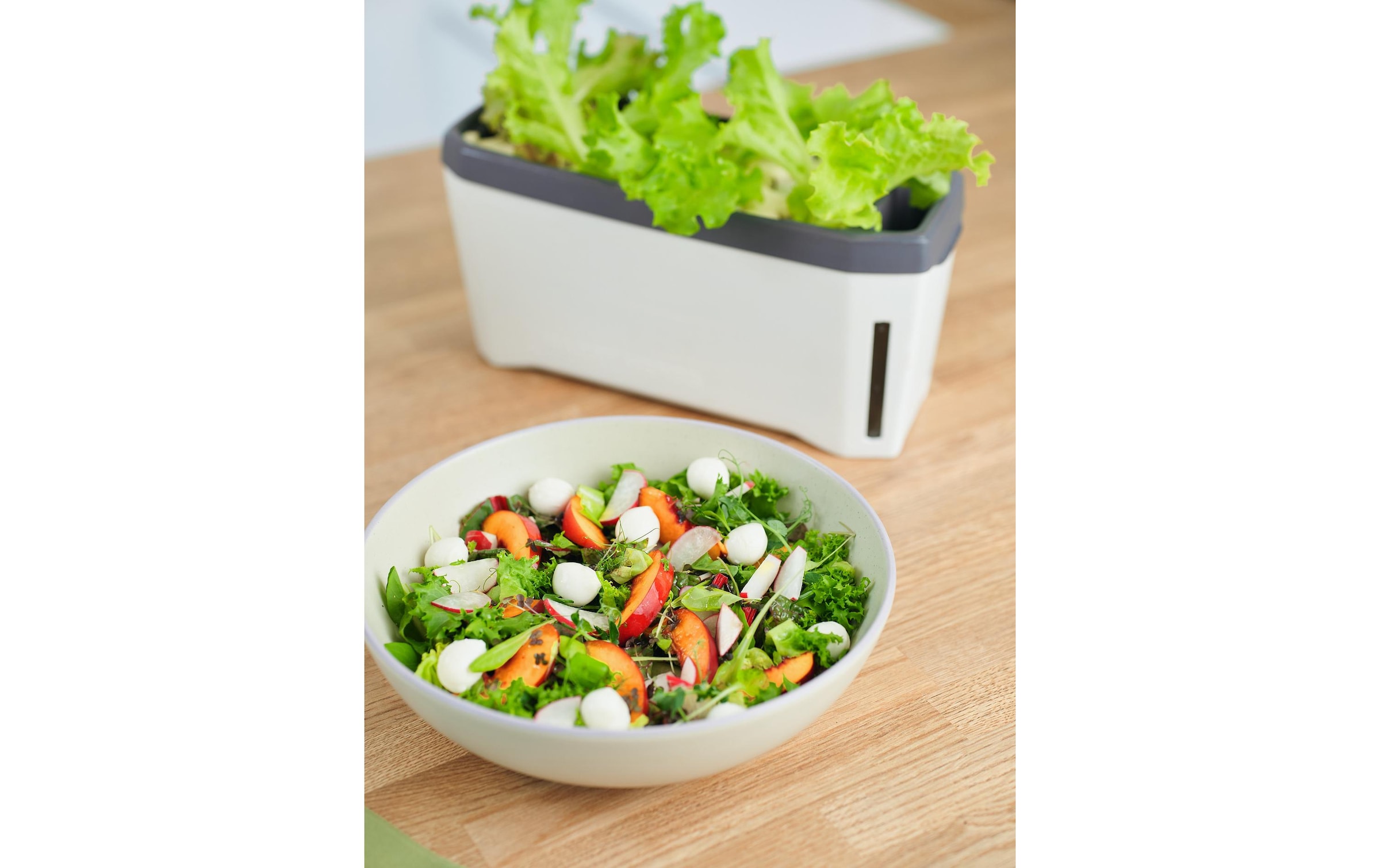 Gusta Garden Kräutertopf »HERBS weiss«