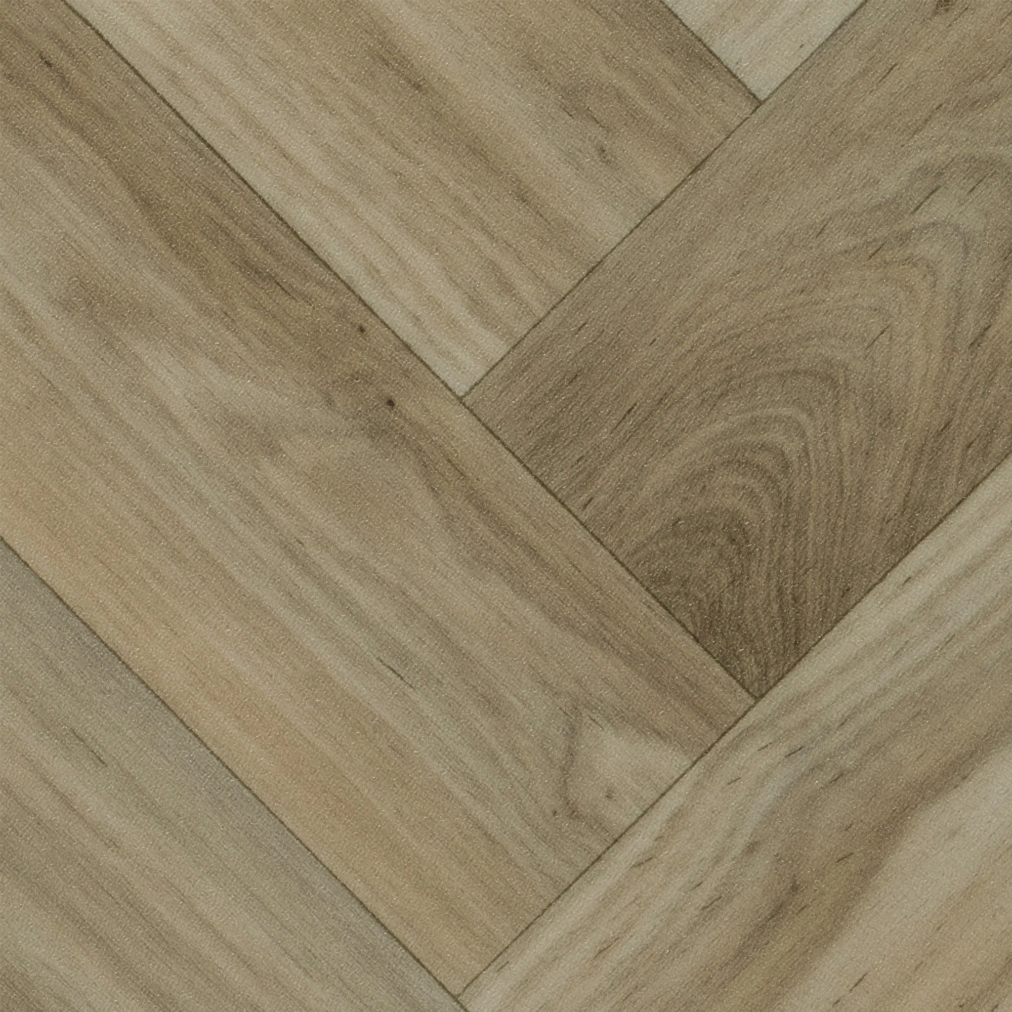 Image of Bodenmeister Vinylboden »PVC Bodenbelag Holzoptik Fischgrät Eiche hell-grau«, Meterware, Breite 200/300/400 cm bei Ackermann Versand Schweiz