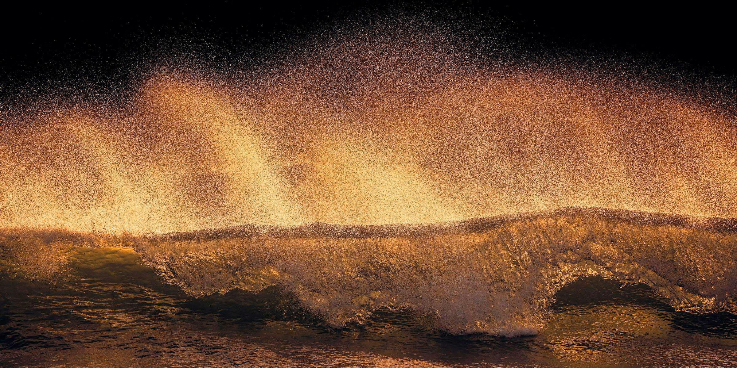 Image of Komar Vliestapete »Hefele Golden Wave«, naturalistisch bei Ackermann Versand Schweiz
