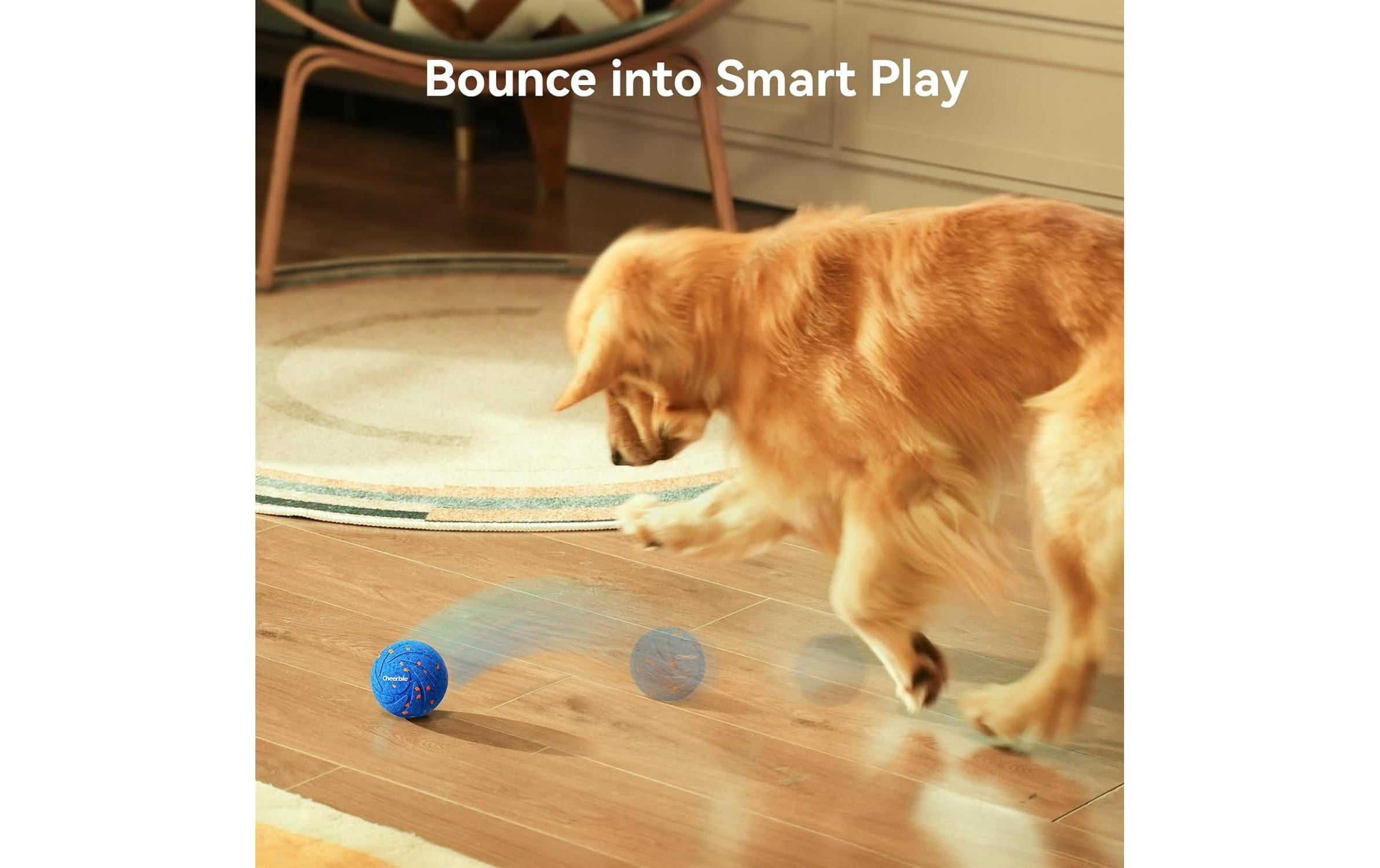   Jouet d'intelligence pour animaux »Cheerble Wicked Ball Air«