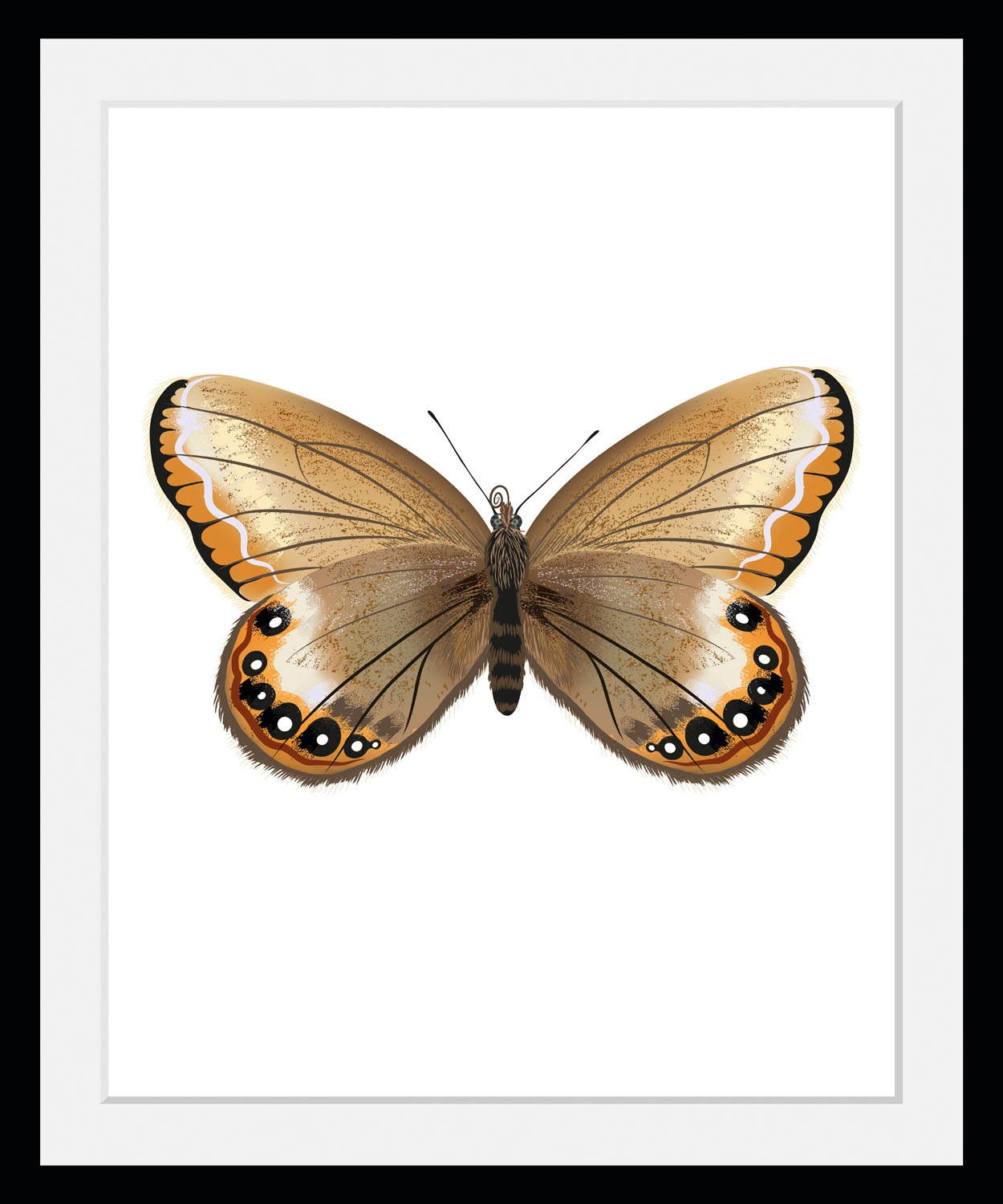 Image of queence Bild "Lexy" Insekten Kunst Schmetterlinge 1 Stk. tlg. HD Premium Poster-Druck inkl. Holzrahmen