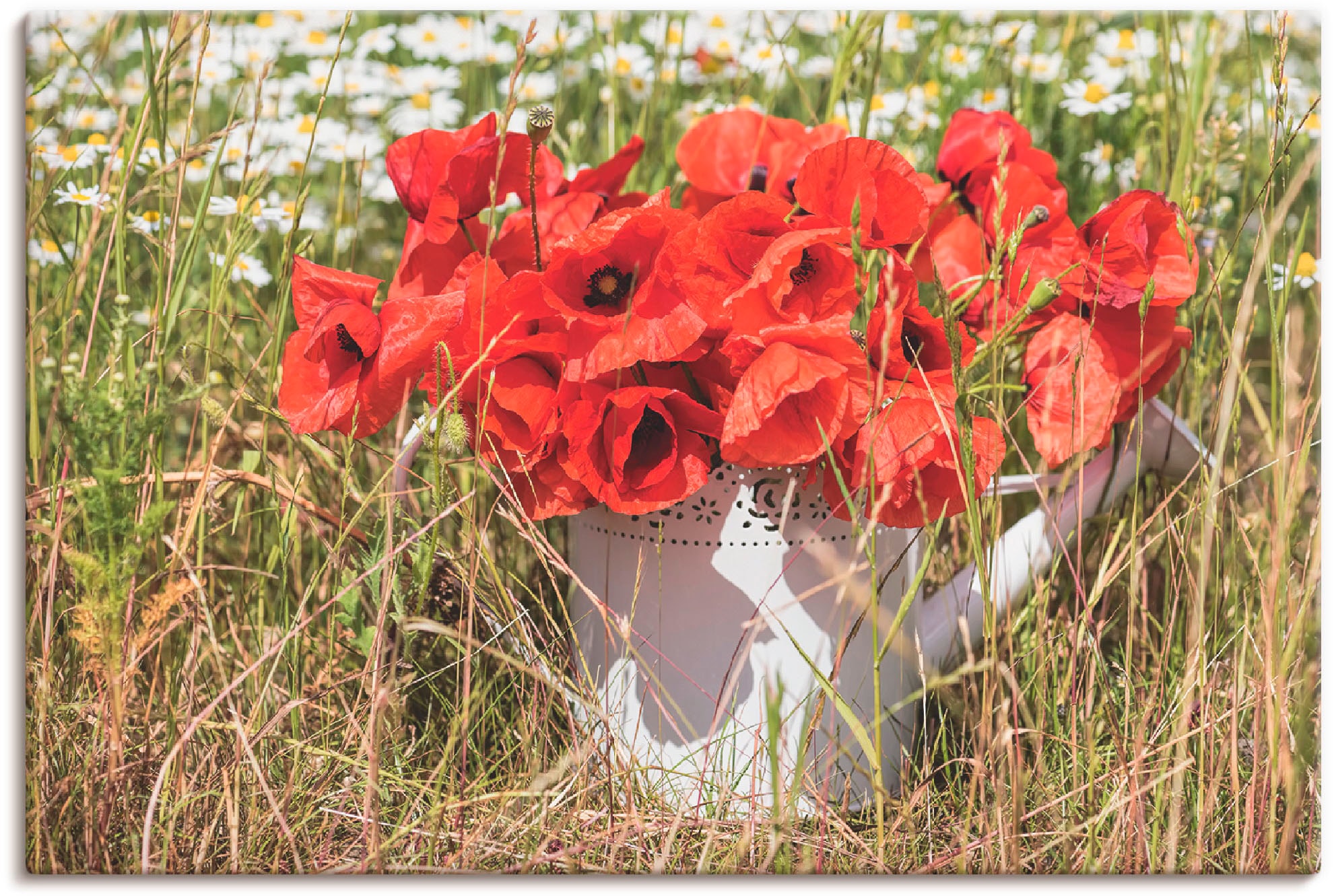 Image of Artland Leinwandbild "Mohnblüten im Feld" Blumenwiese 1 Stk. tlg. auf Holzrahmen gespannt