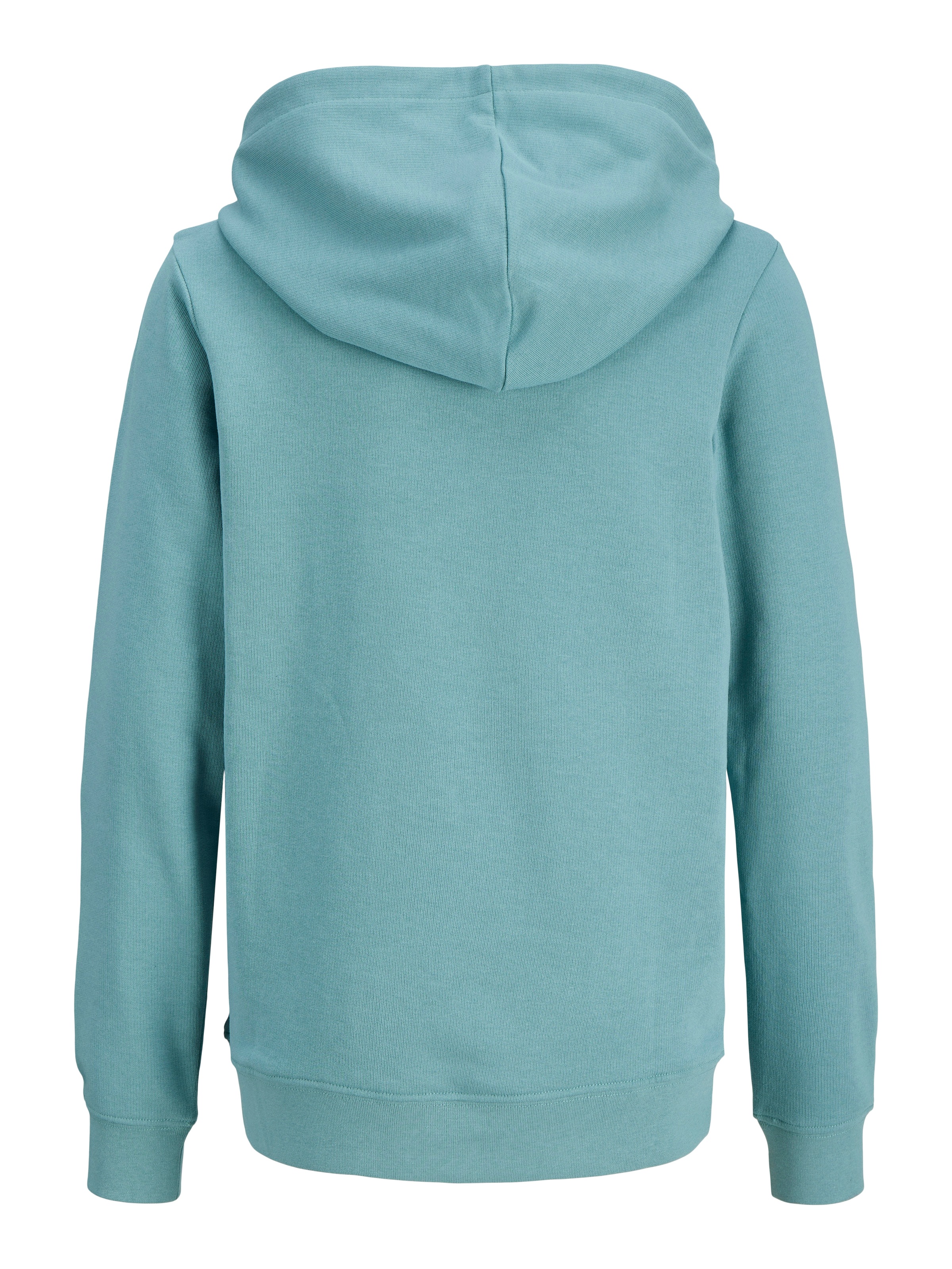 Jack & Jones Junior Kapuzensweatshirt »JJCOLE PRINT SWEAT HOOD JNR«, mit Logoprint
